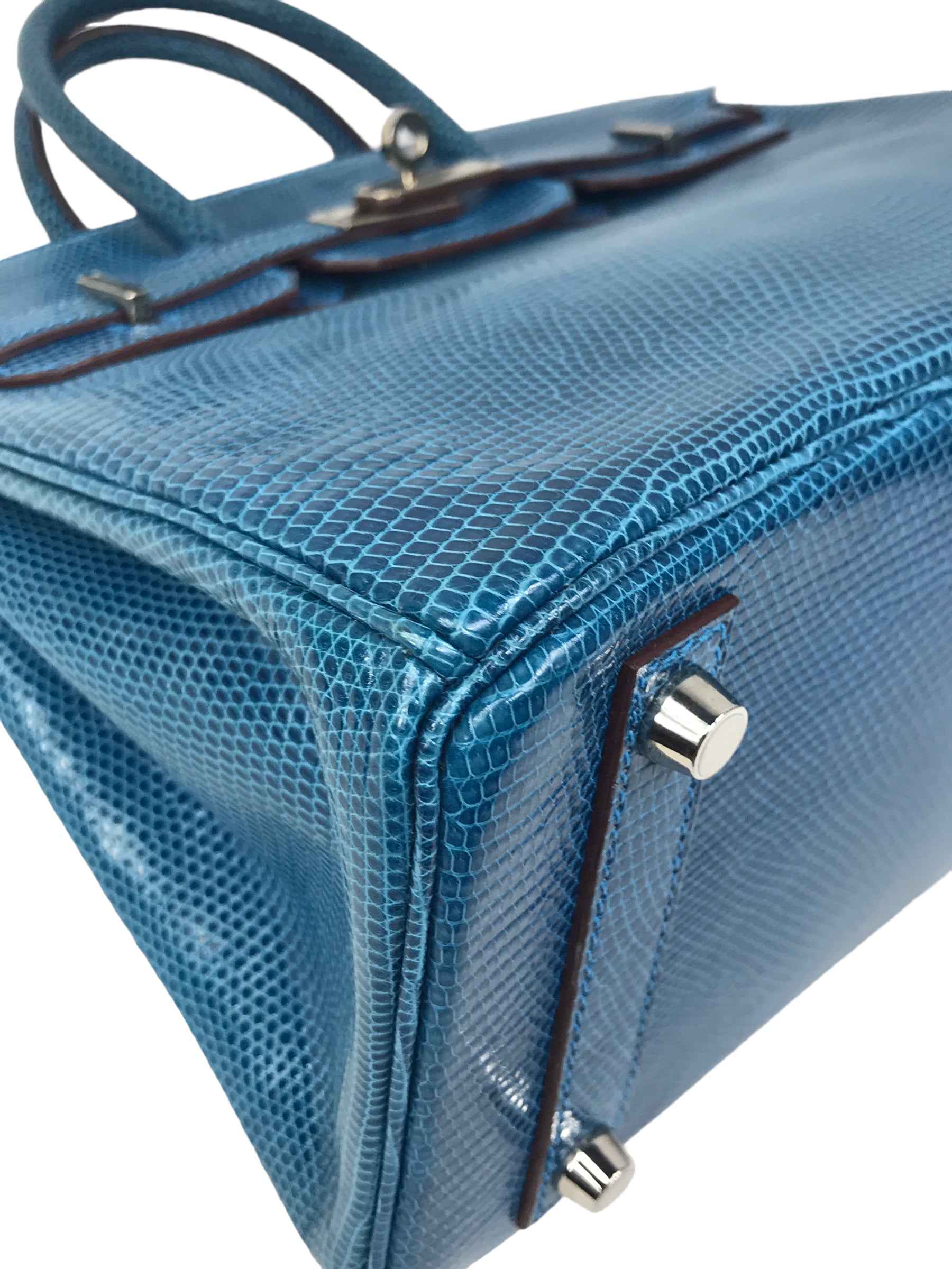 Mykonos Lizard Birkin 25 w/PHW