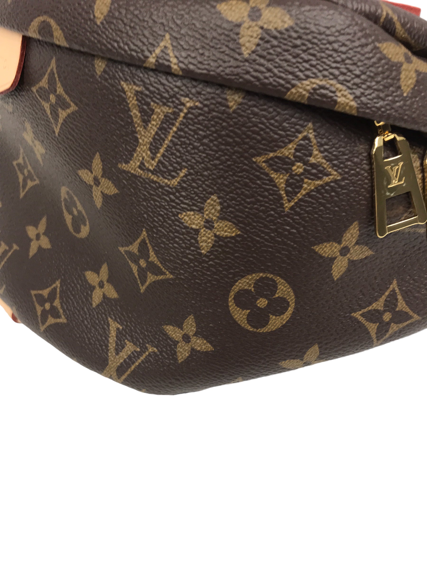 Coated Canvas Monogram Bumbag w/GHW