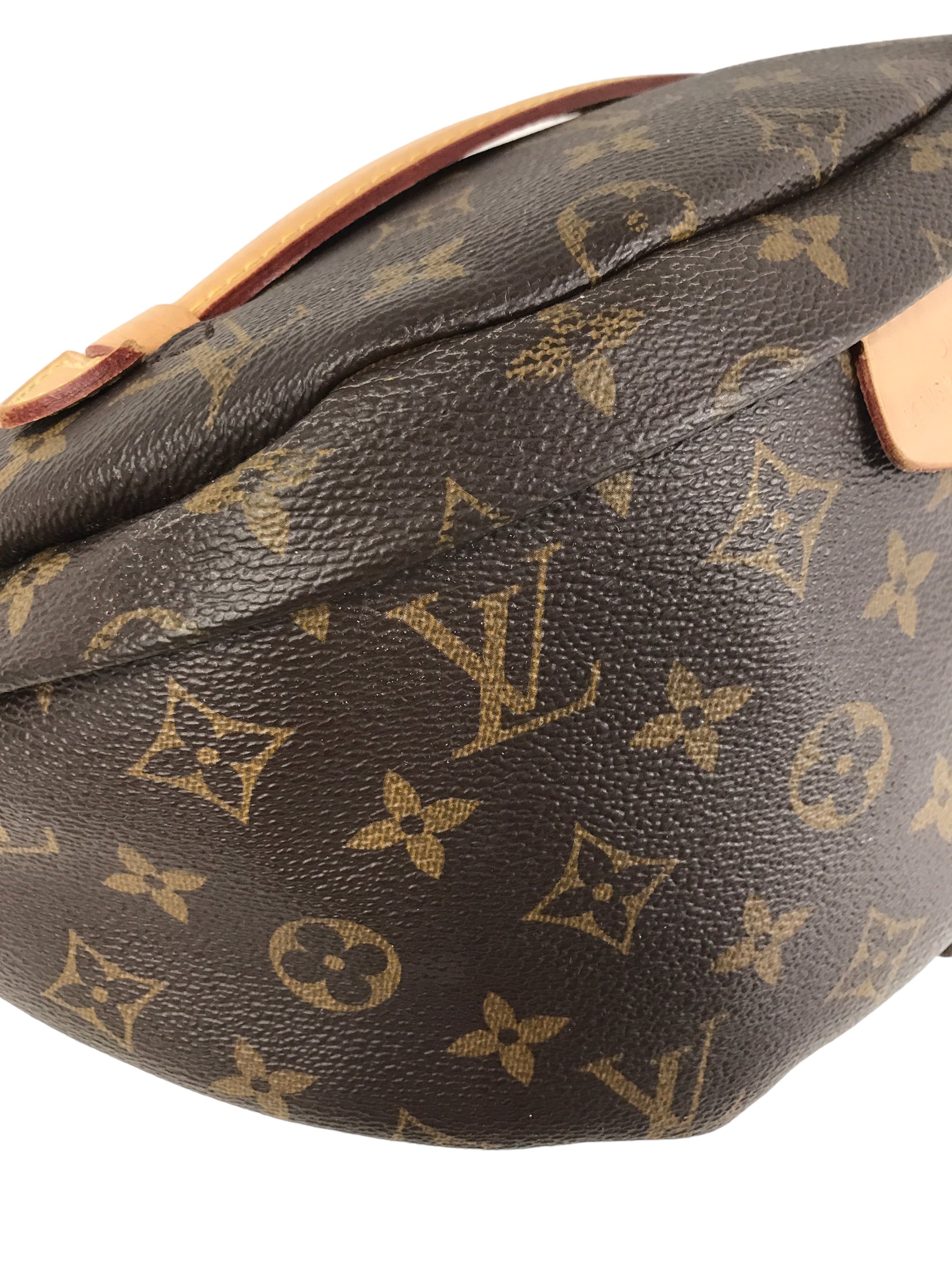 Coated Canvas Monogram Bumbag W/GHW