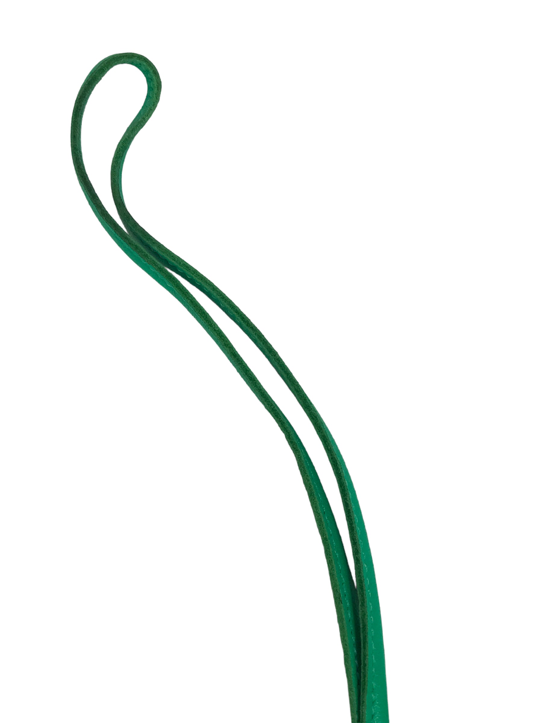 Cactus Green/Malachite/Brule Lambskin & Alligator Mississippiensis Rodeo PM Charm