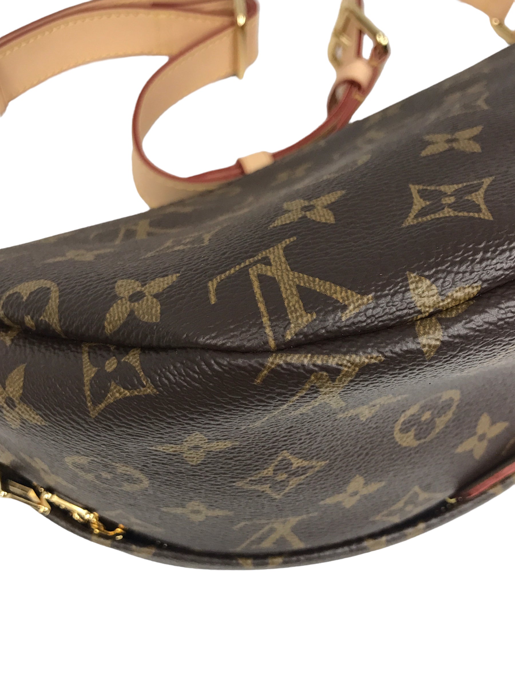 Coated Canvas Monogram Bumbag w/GHW