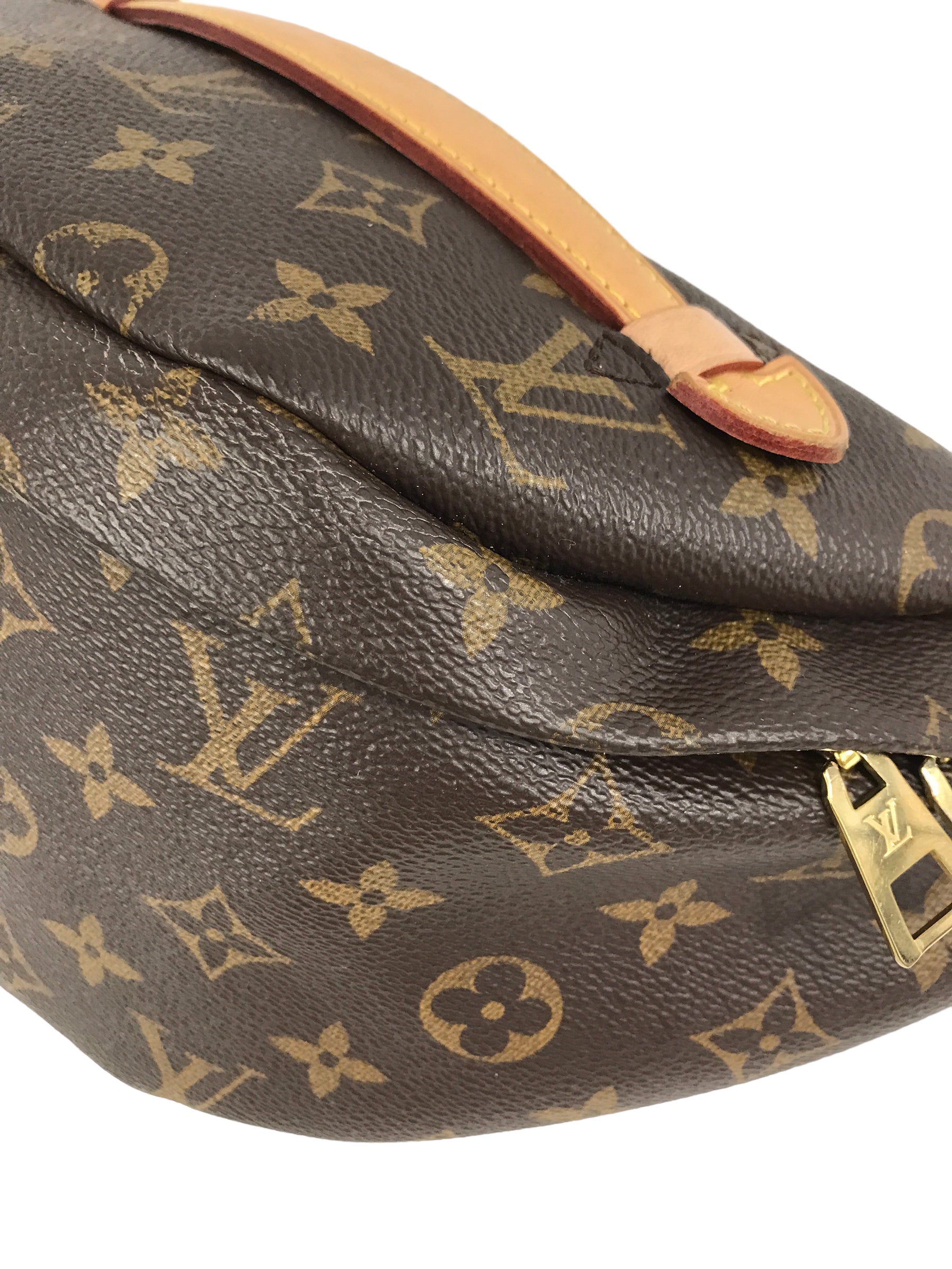 Coated Canvas Monogram Bumbag W/GHW