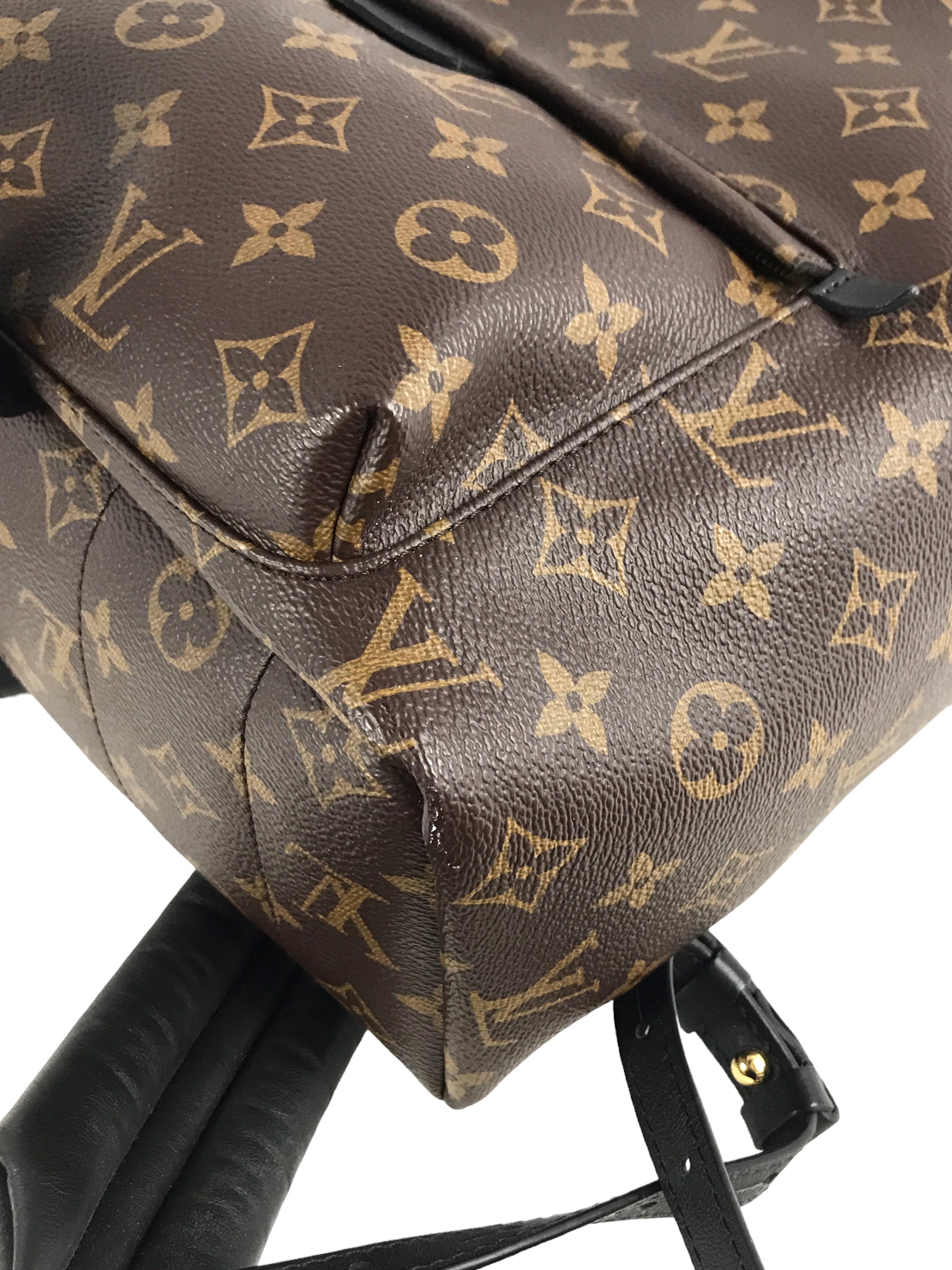 Monogram Coated Canvas Palm Springs MM Backpack w/GHW