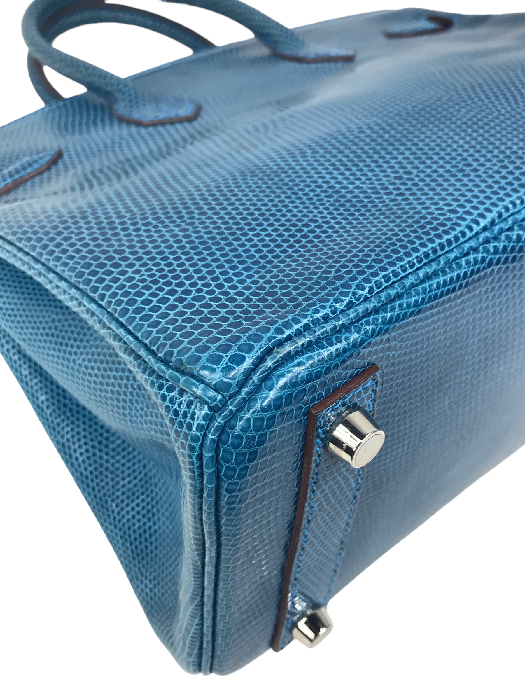Mykonos Lizard Birkin 25 w/PHW
