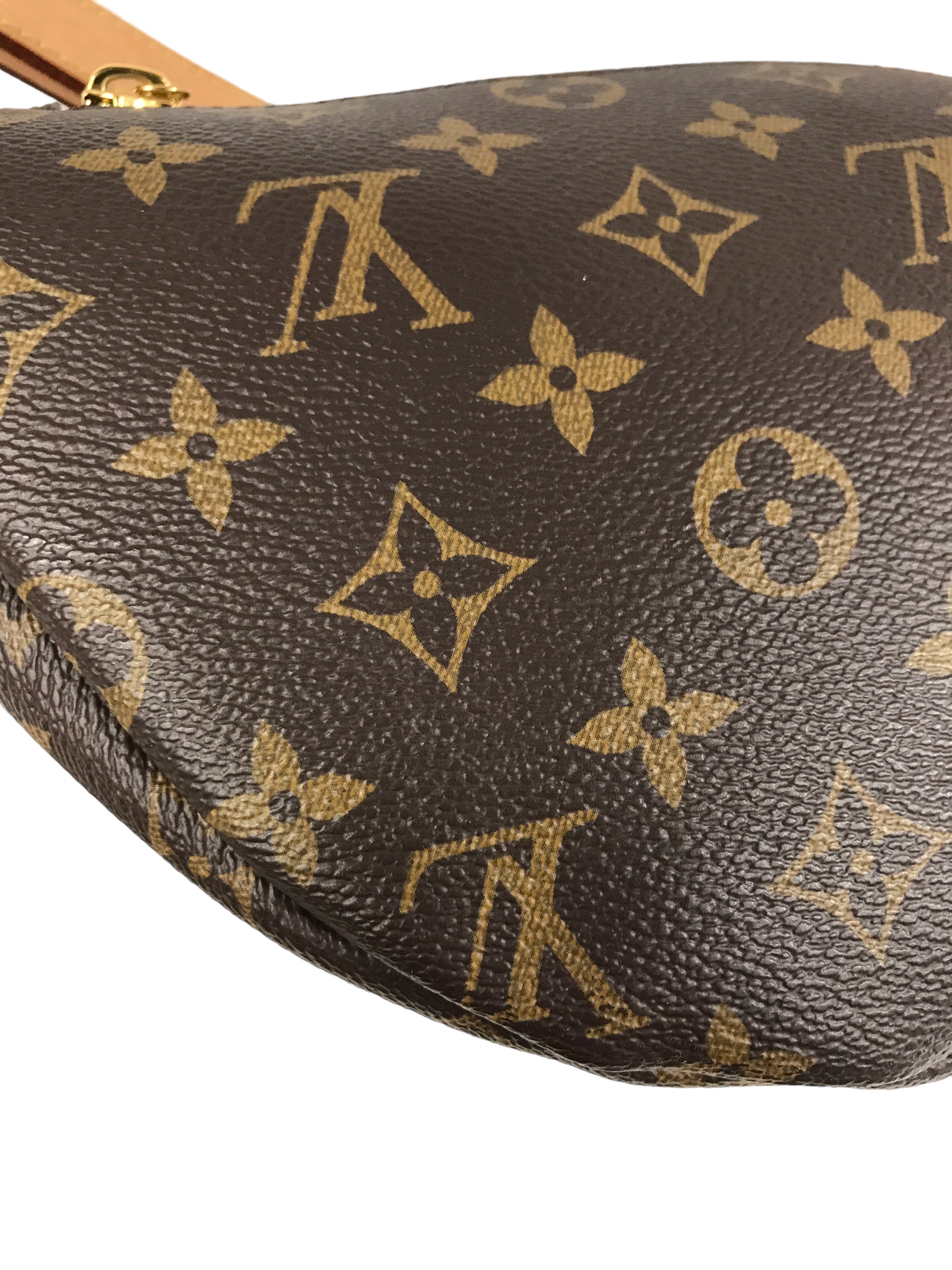 Coated Canvas Monogram Bumbag W/GHW