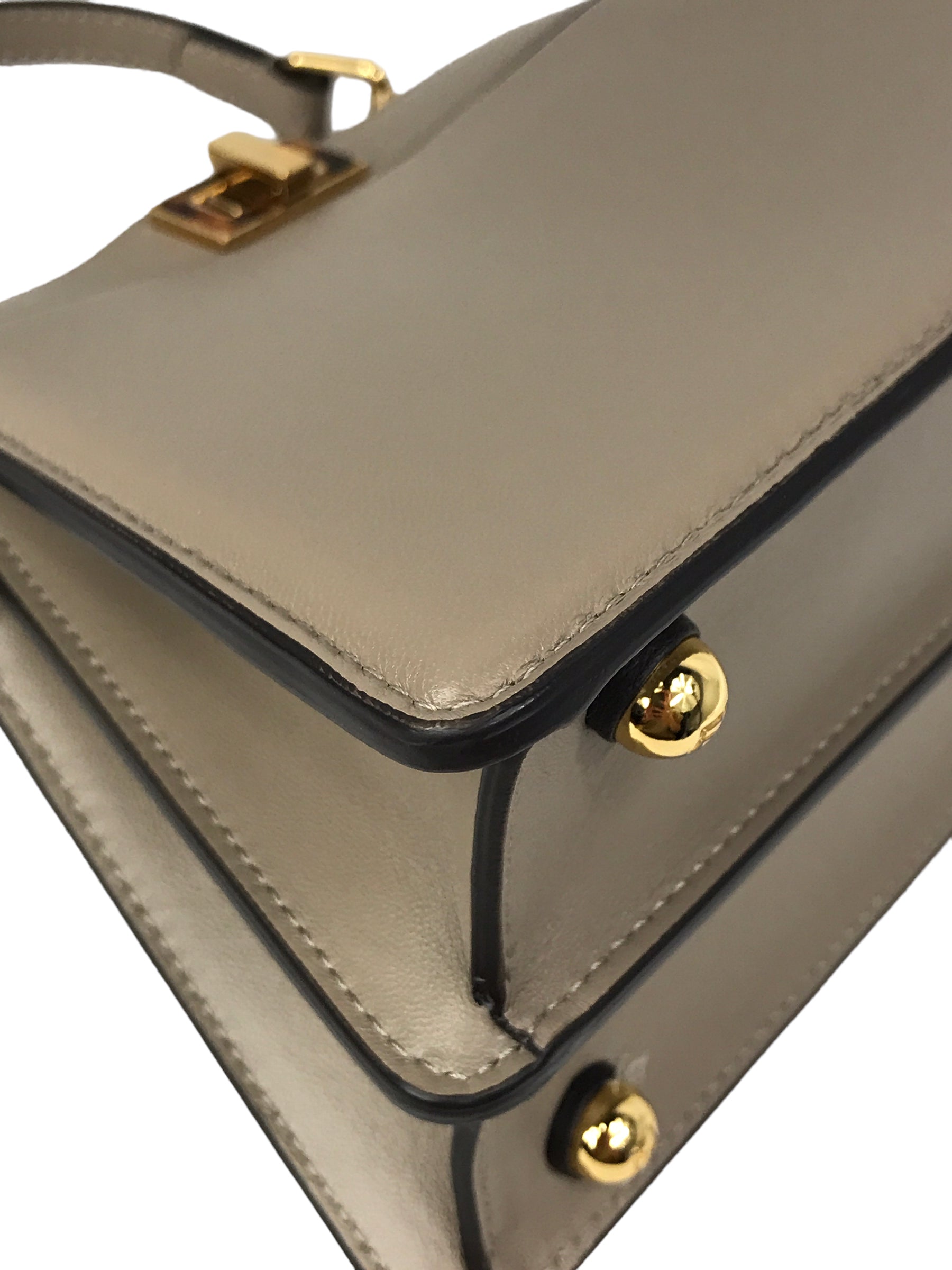 Dove Grey Nappa Leather Peakaboo ISeeU Petite Tortoiseshell-effect plexiglass Bag w/ GHW