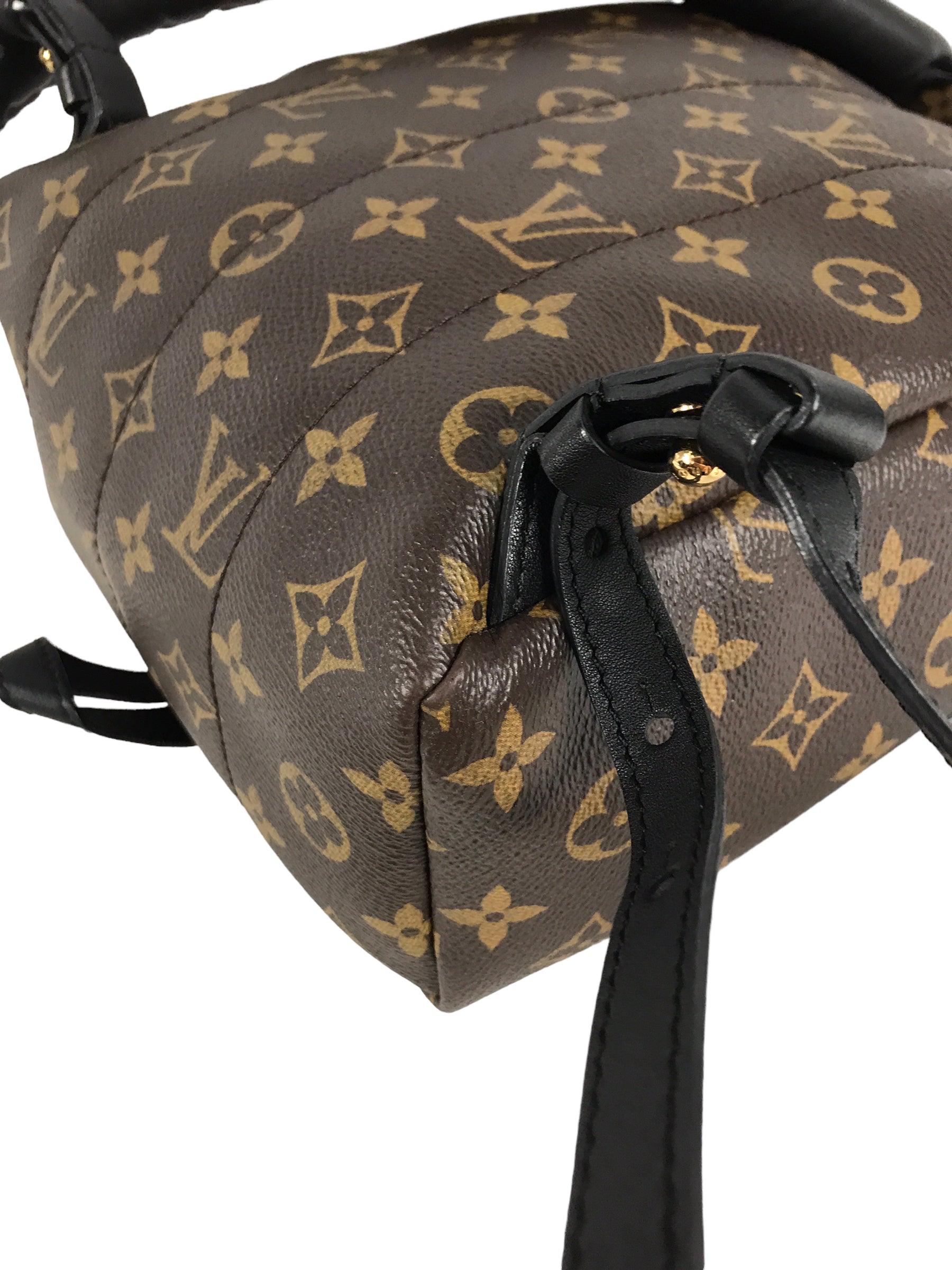 Monogram Coated Canvas Palm Springs PM Backpack w/GHW