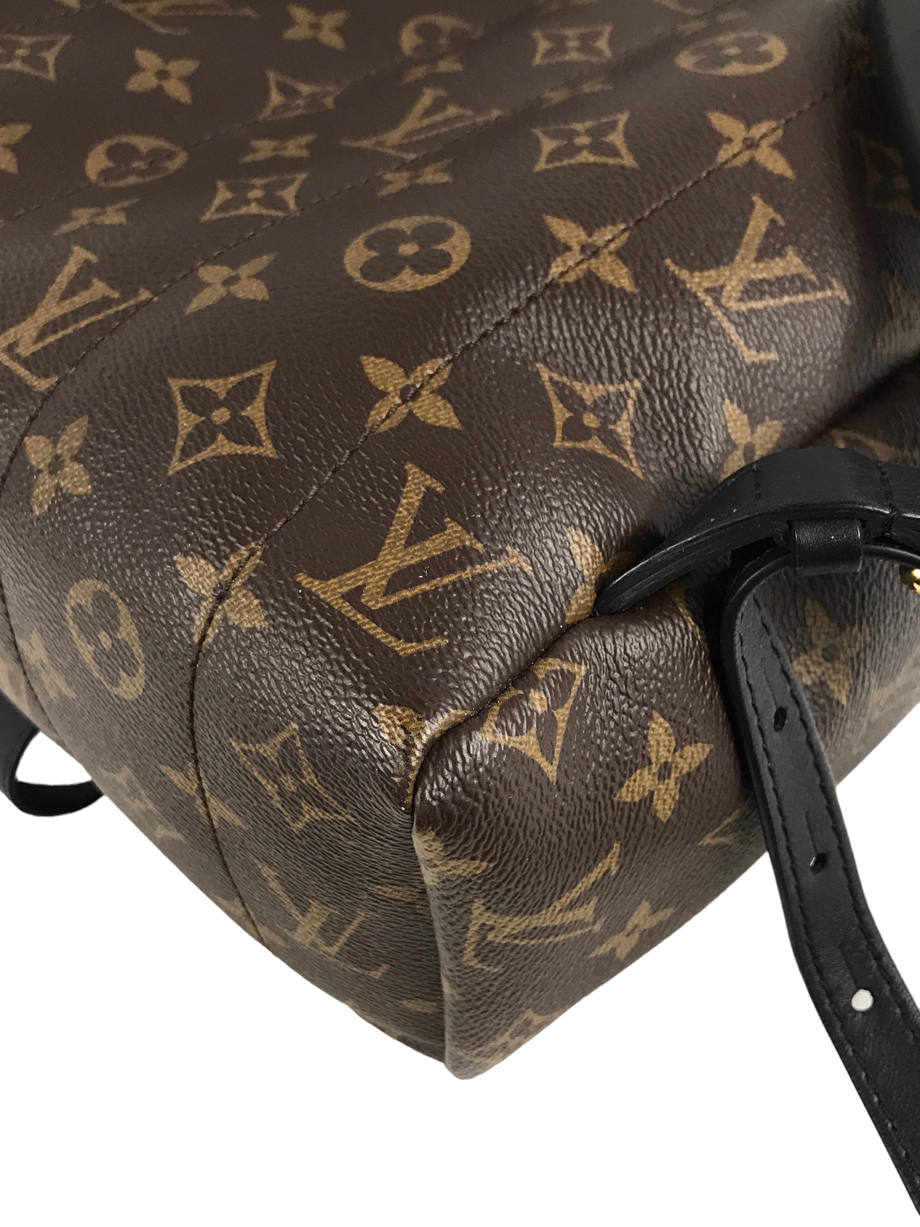 Monogram Coated Canvas Palm Springs MM Backpack w/GHW