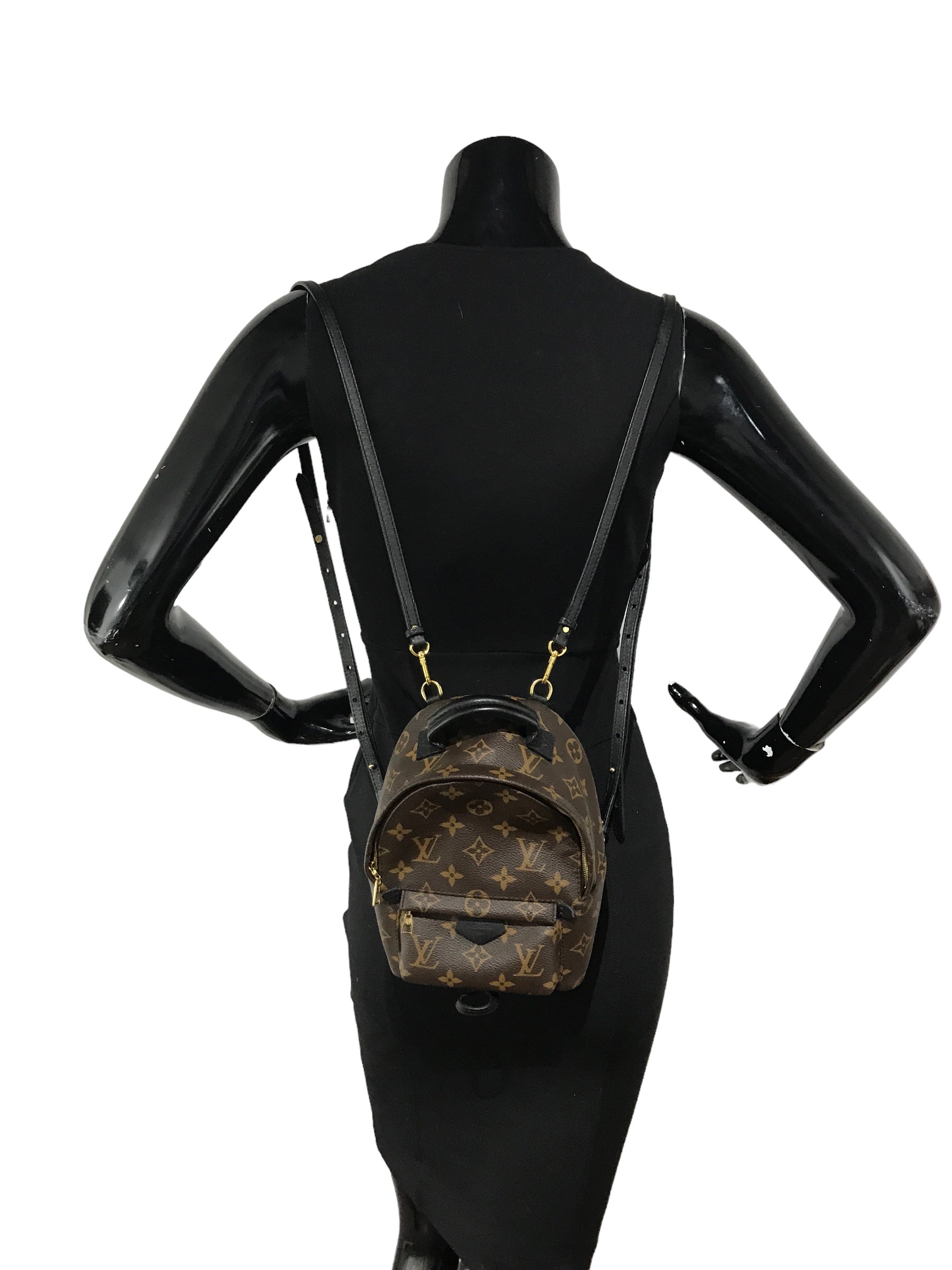 Monogram Coated Canvas Palm Springs Mini Backpack w/ GHW