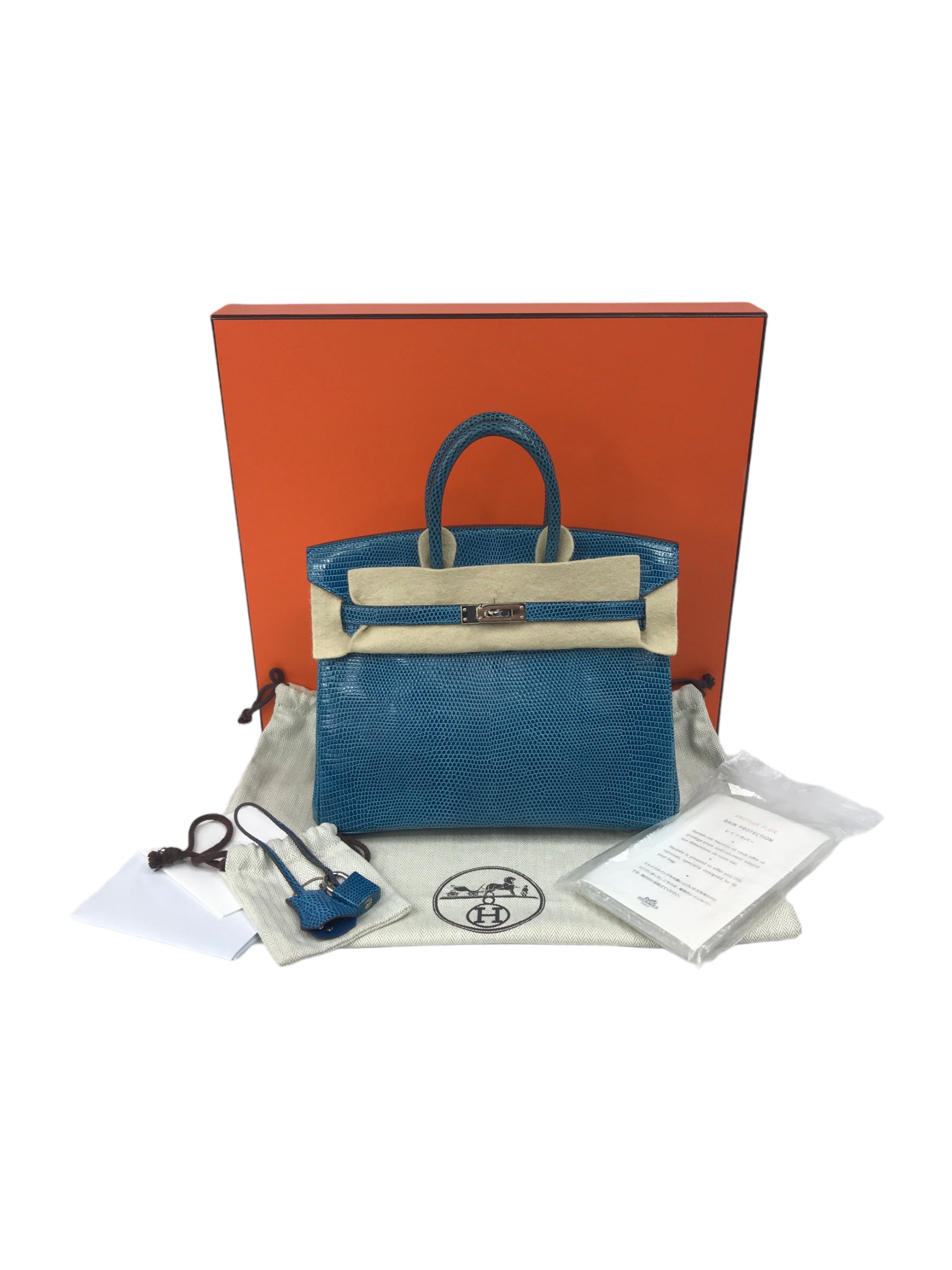 Mykonos Lizard Birkin 25 w/PHW