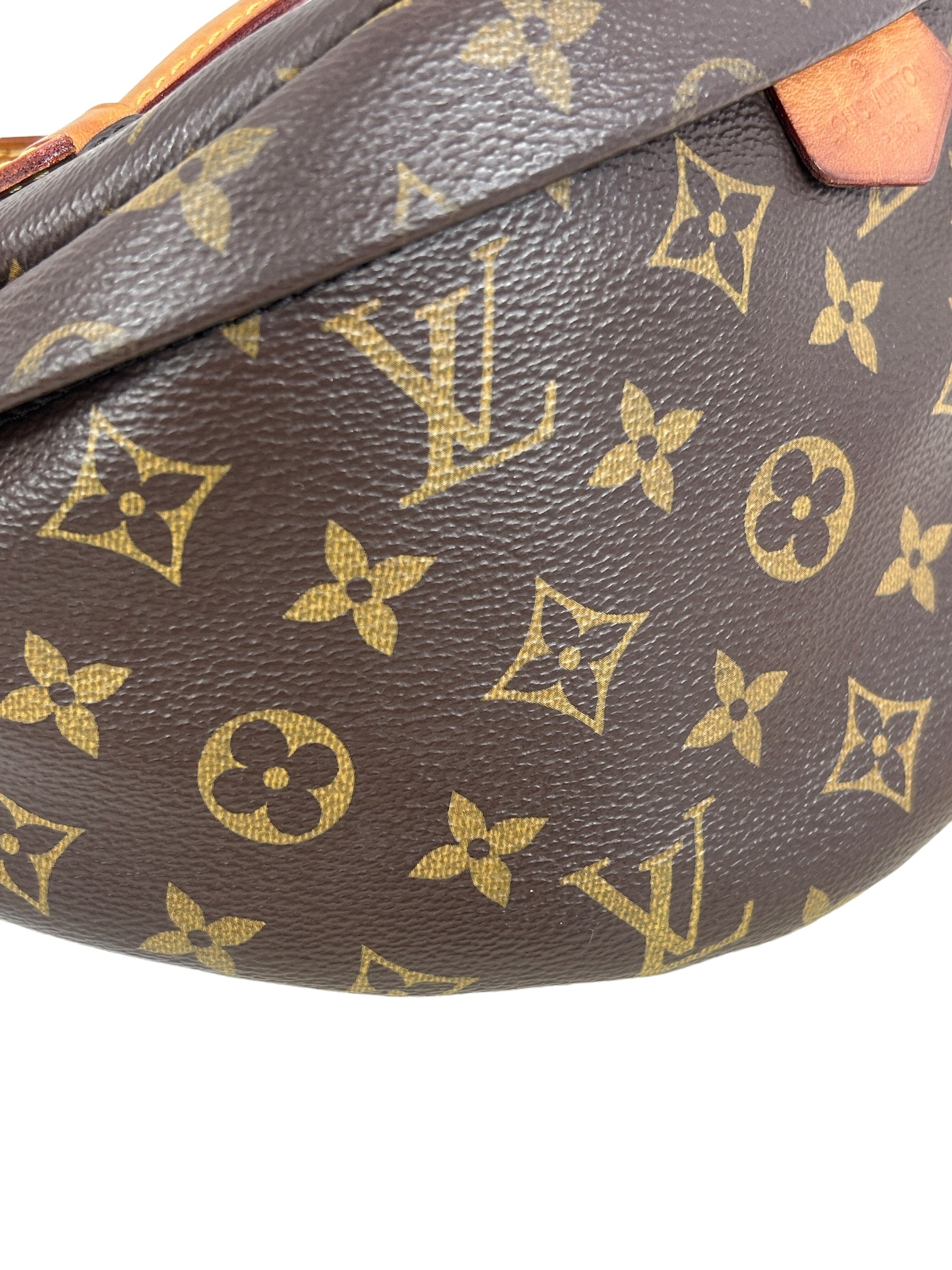 Monogram Coated Canvas Bum Bag w/GHW