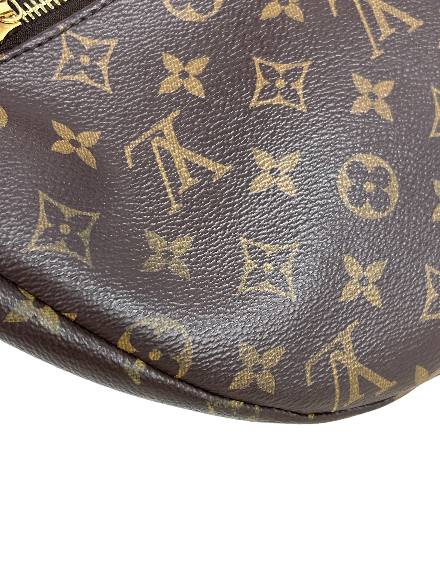 Monogram Coated Canvas Bum Bag w/GHW