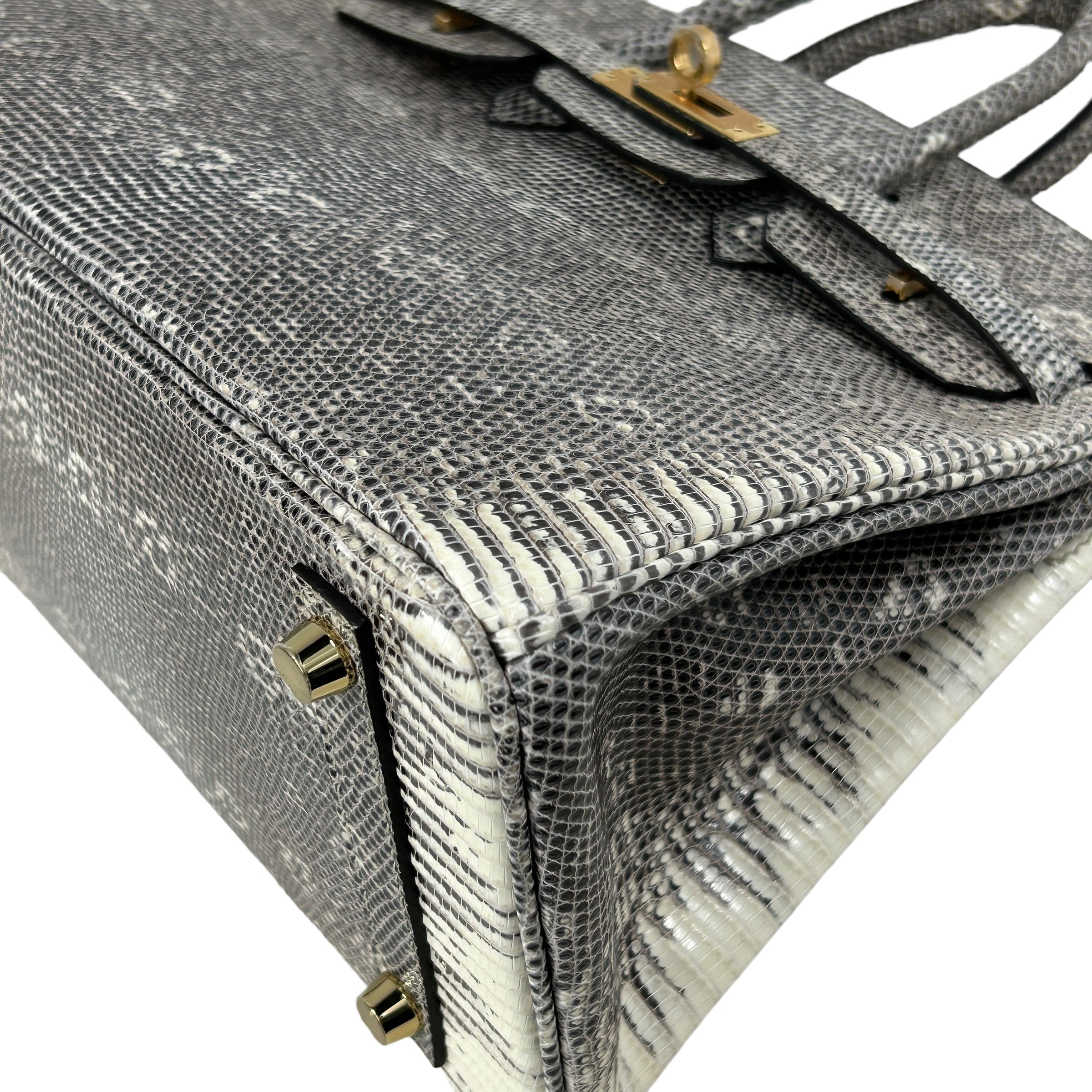 Lizard Natura Lisse Birkin 25 W/GHW - Haute Classics