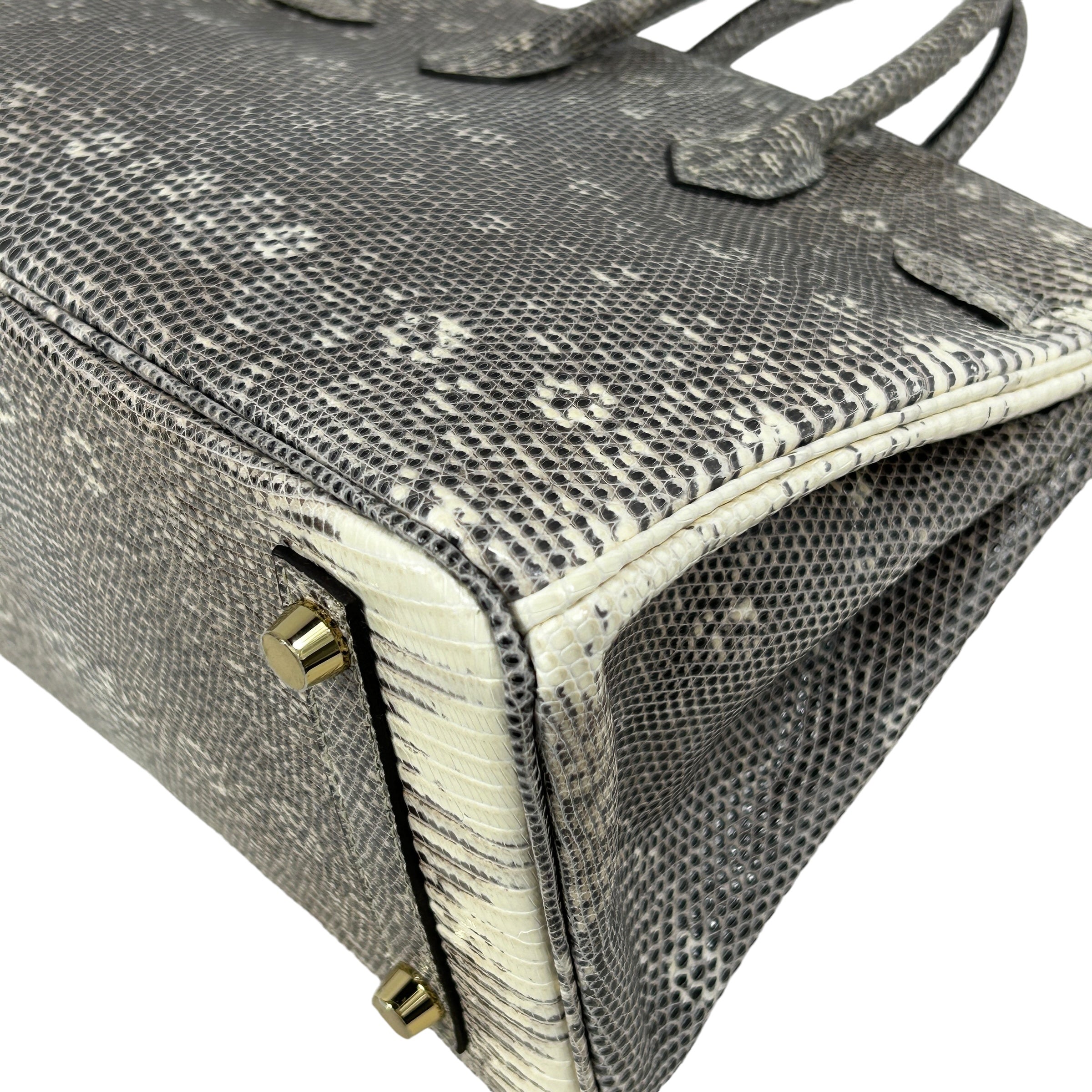 Lizard Natura Lisse Birkin 25 W/GHW - Haute Classics