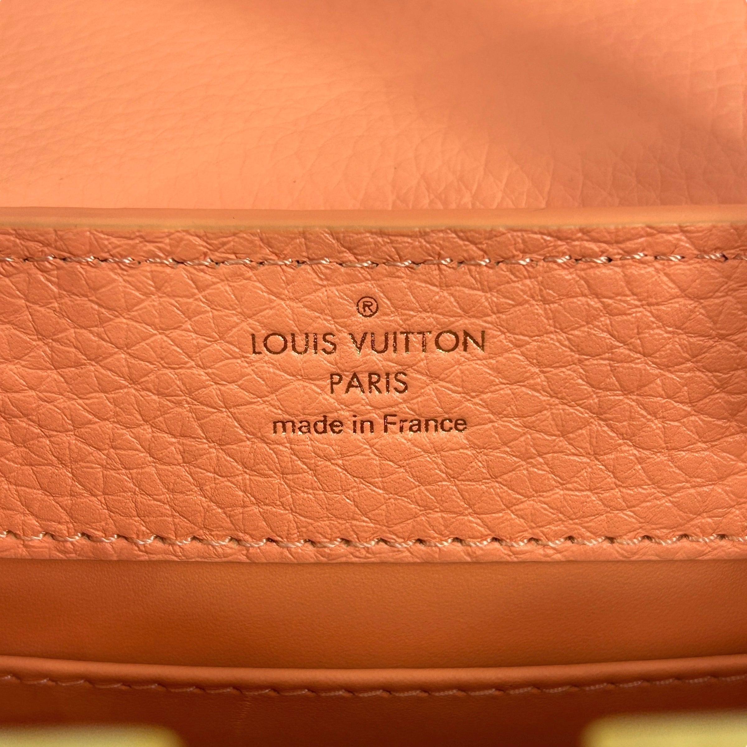 Apricot Taurillon Capucines Mini w/Intertwined Rainbow Chain Strap