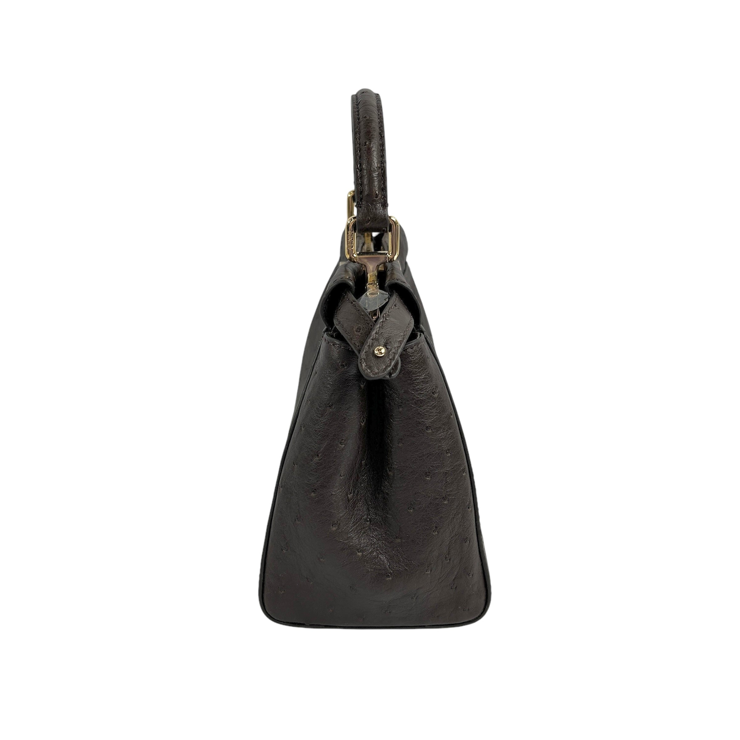Chocolate Ostrich Mini Peekaboo w/GHW