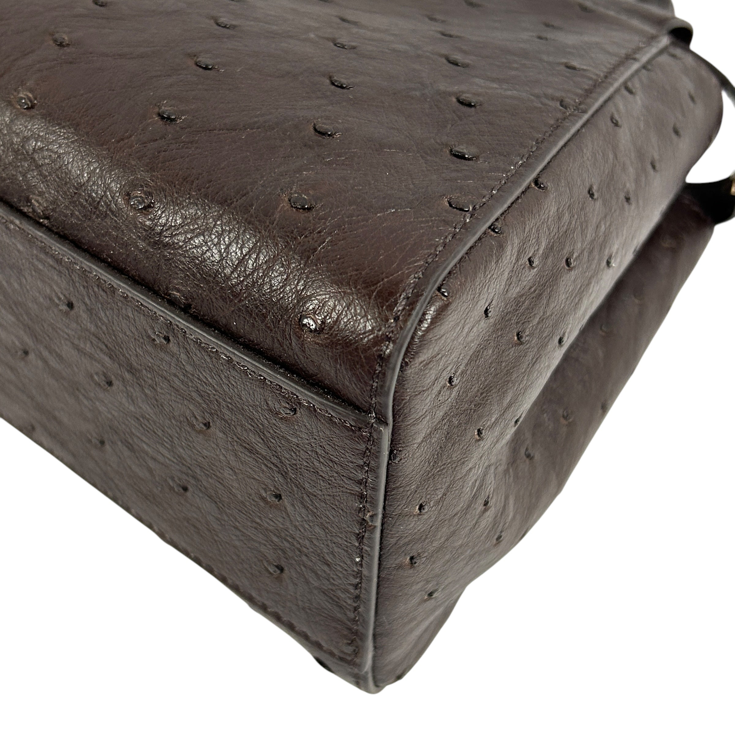 Chocolate Ostrich Mini Peekaboo w/GHW