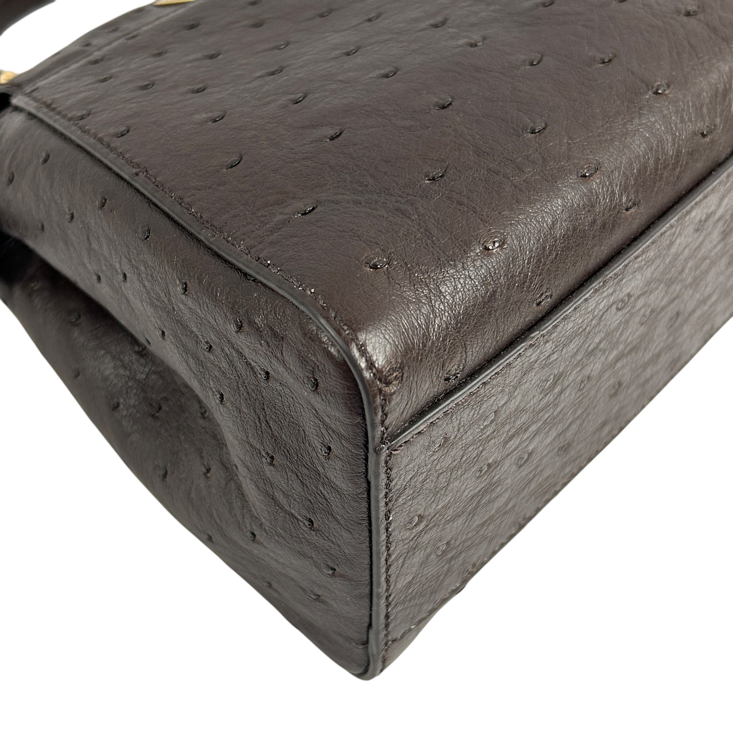 Chocolate Ostrich Mini Peekaboo w/GHW
