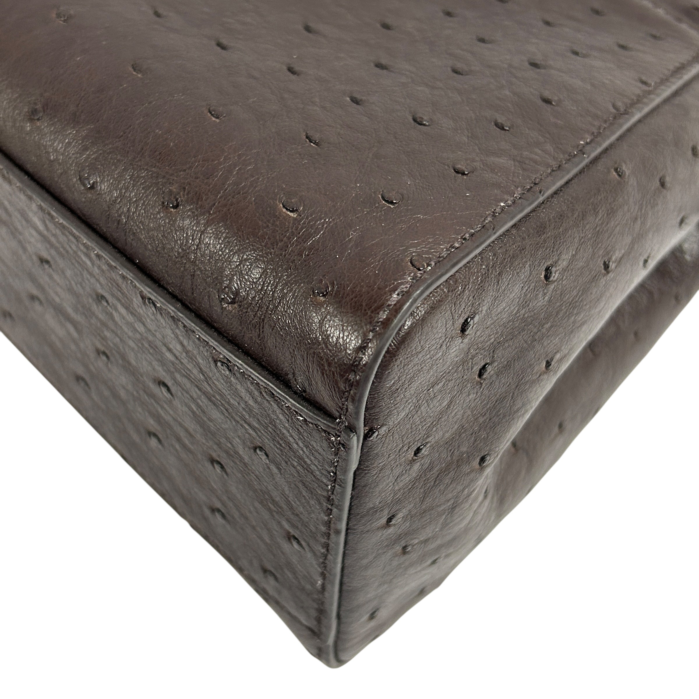 Chocolate Ostrich Mini Peekaboo w/GHW