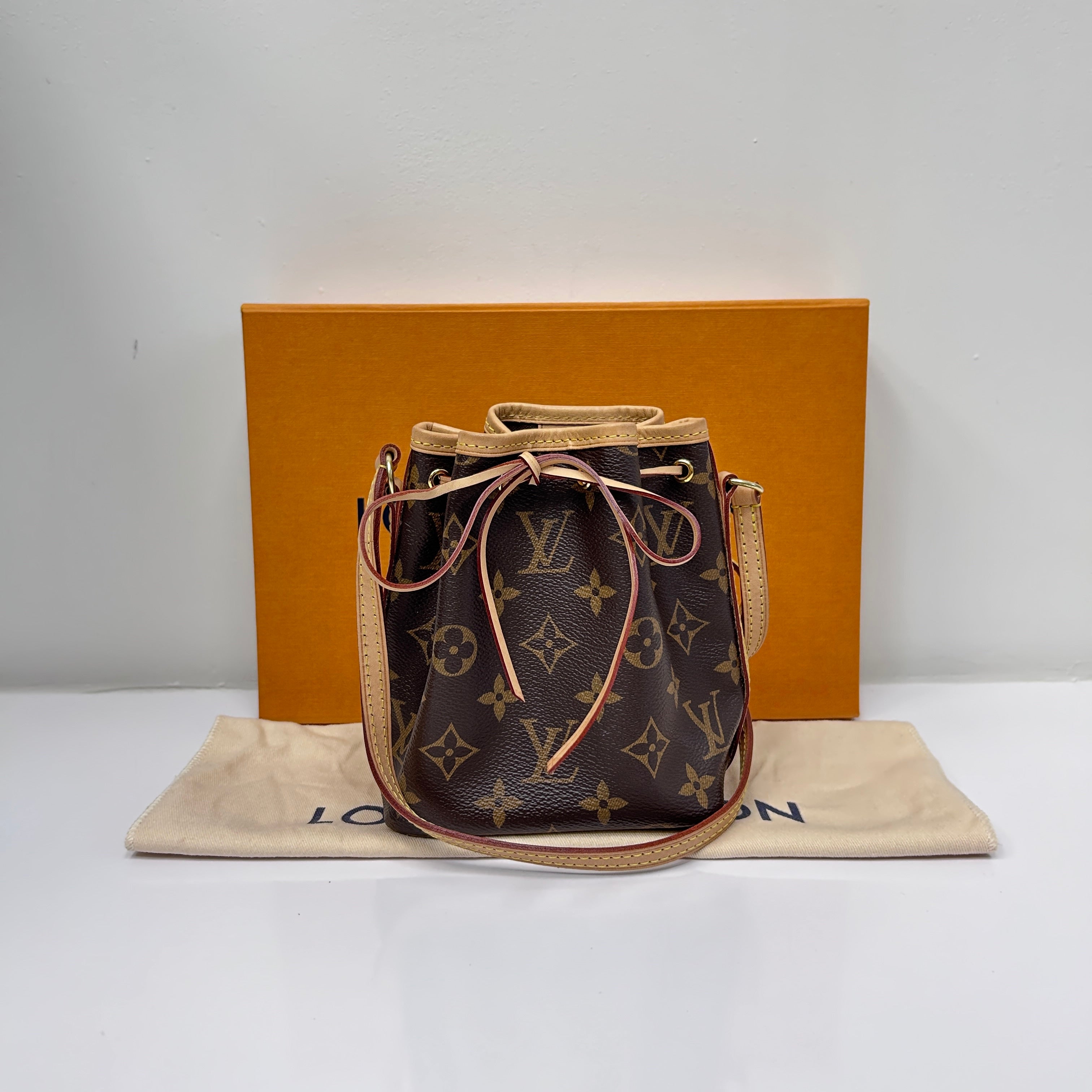 Monogram Canvas Nano Noe Bag