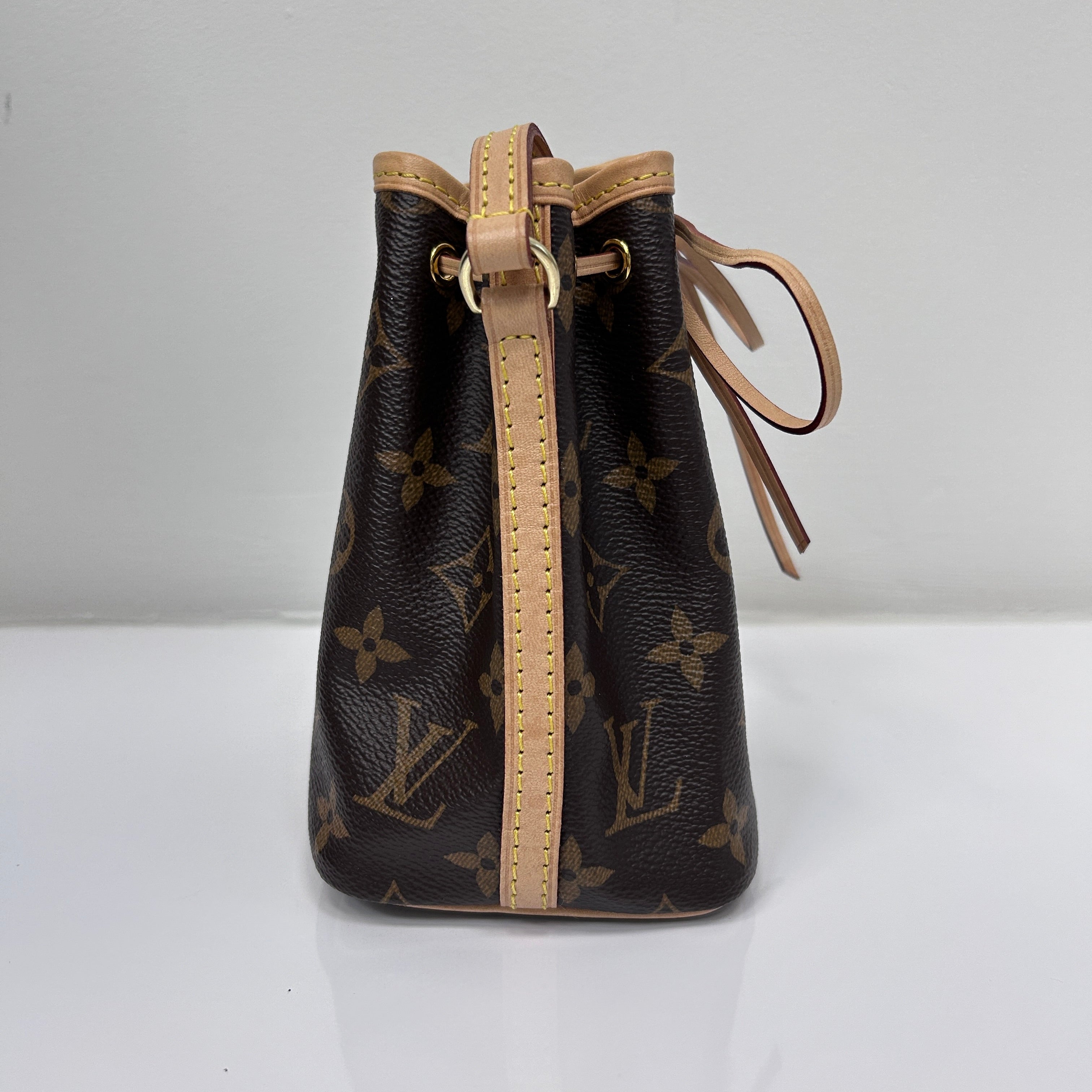 Monogram Canvas Nano Noe Bag