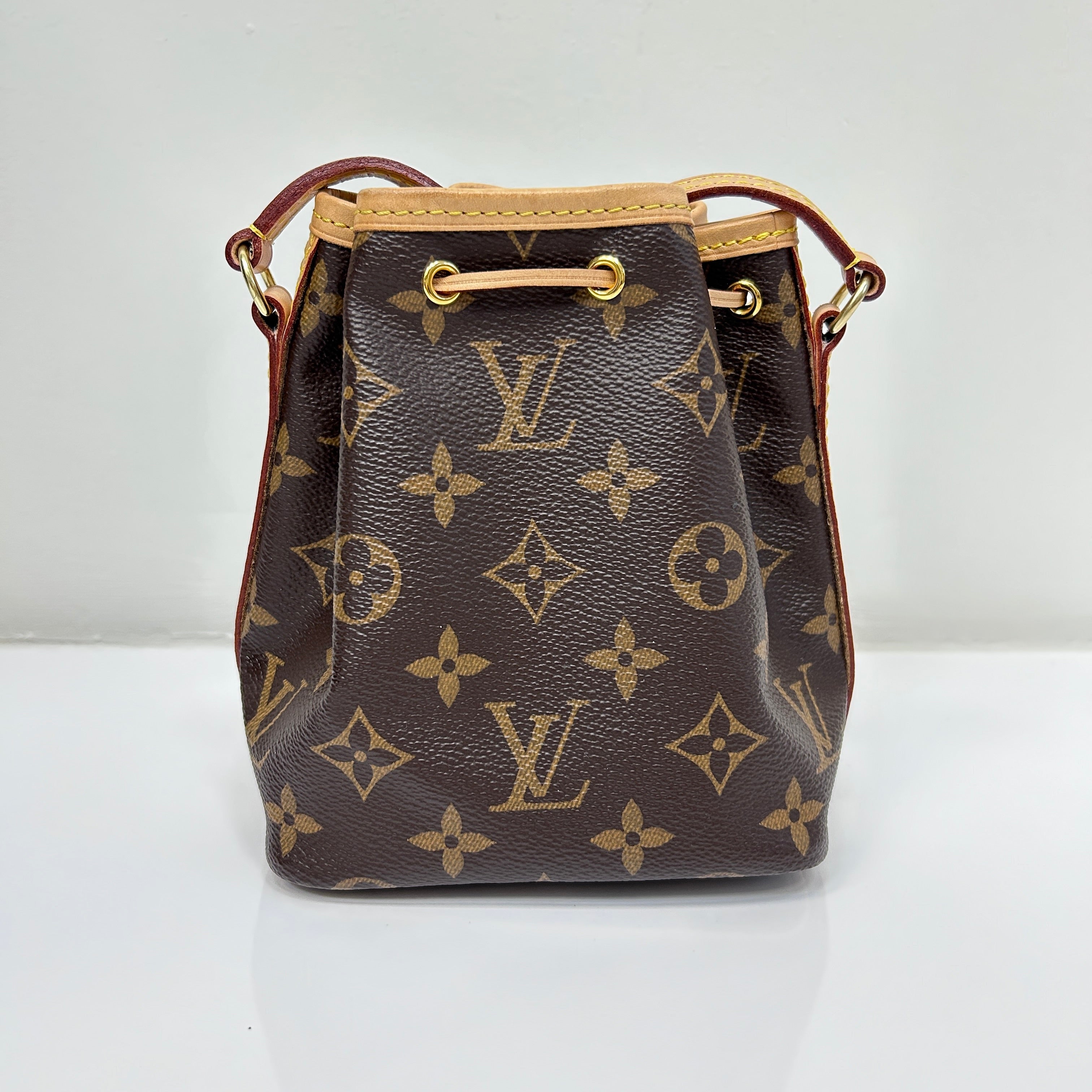 Monogram Canvas Nano Noe Bag