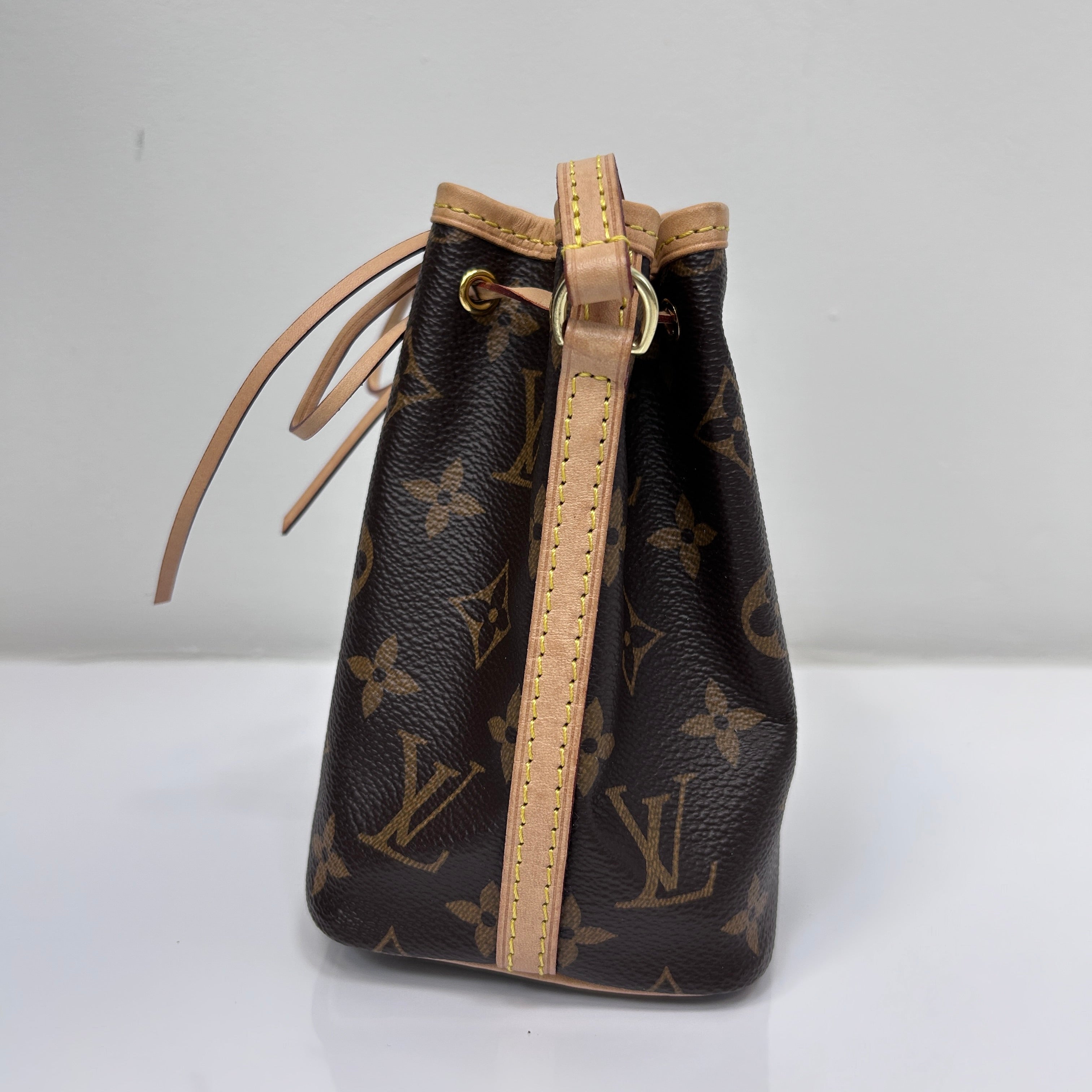 Monogram Canvas Nano Noe Bag