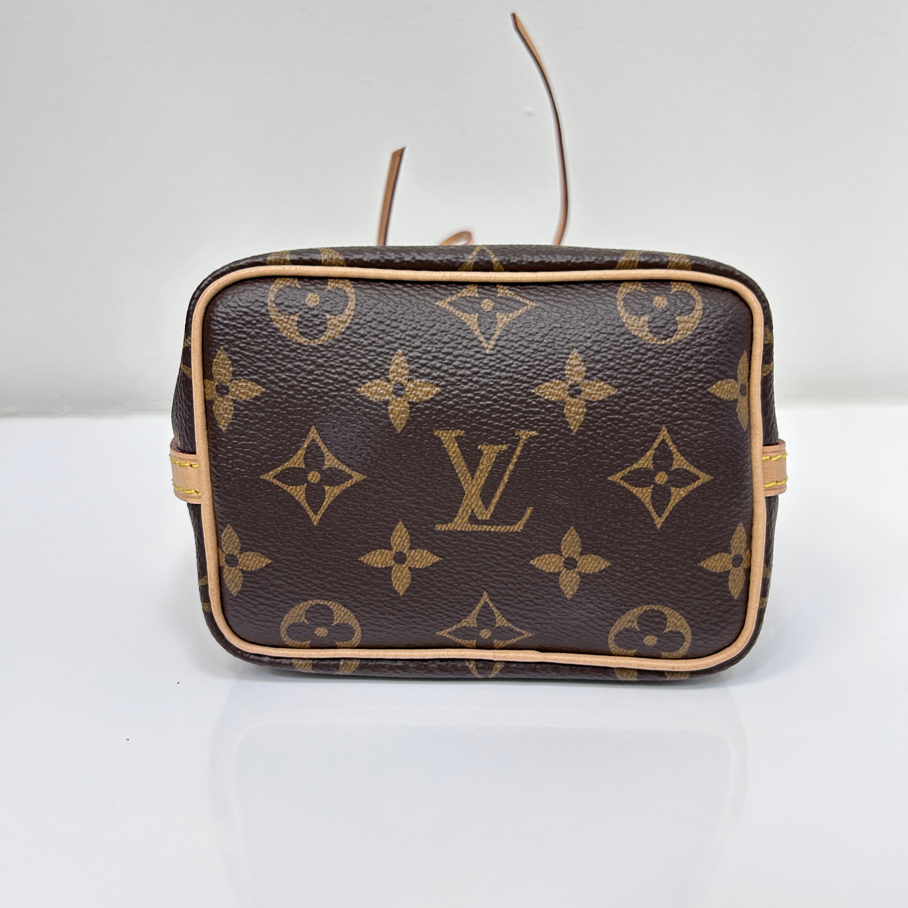Monogram Canvas Nano Noe Bag