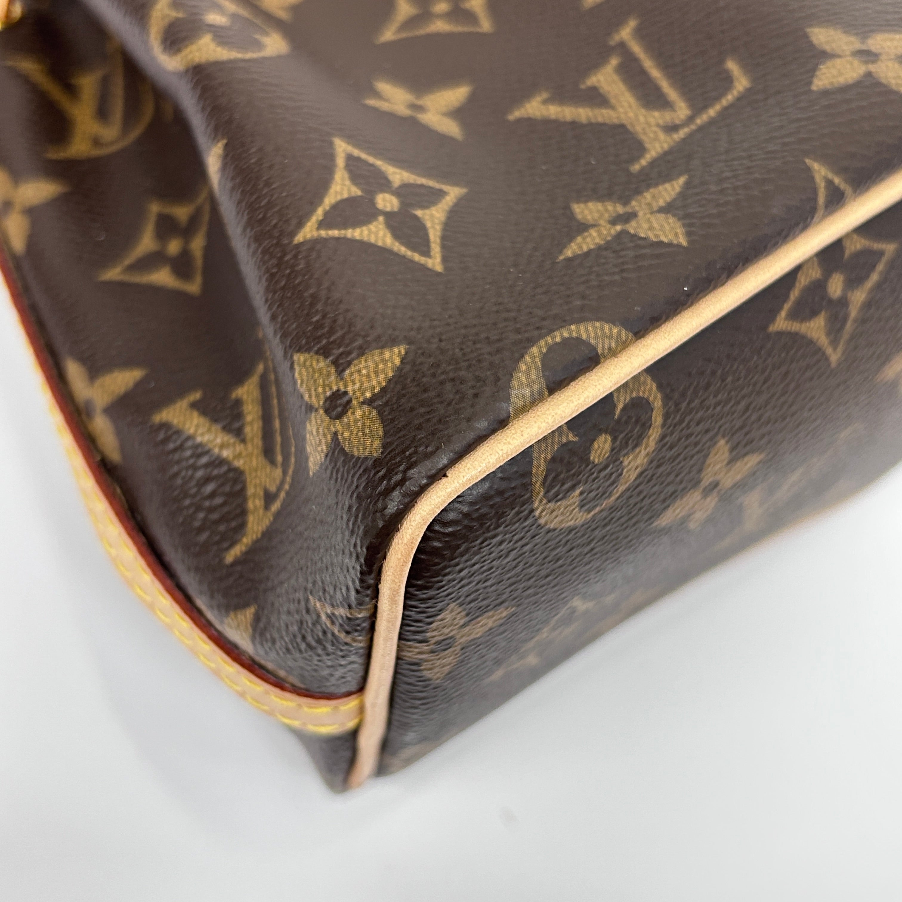 Monogram Canvas Nano Noe Bag