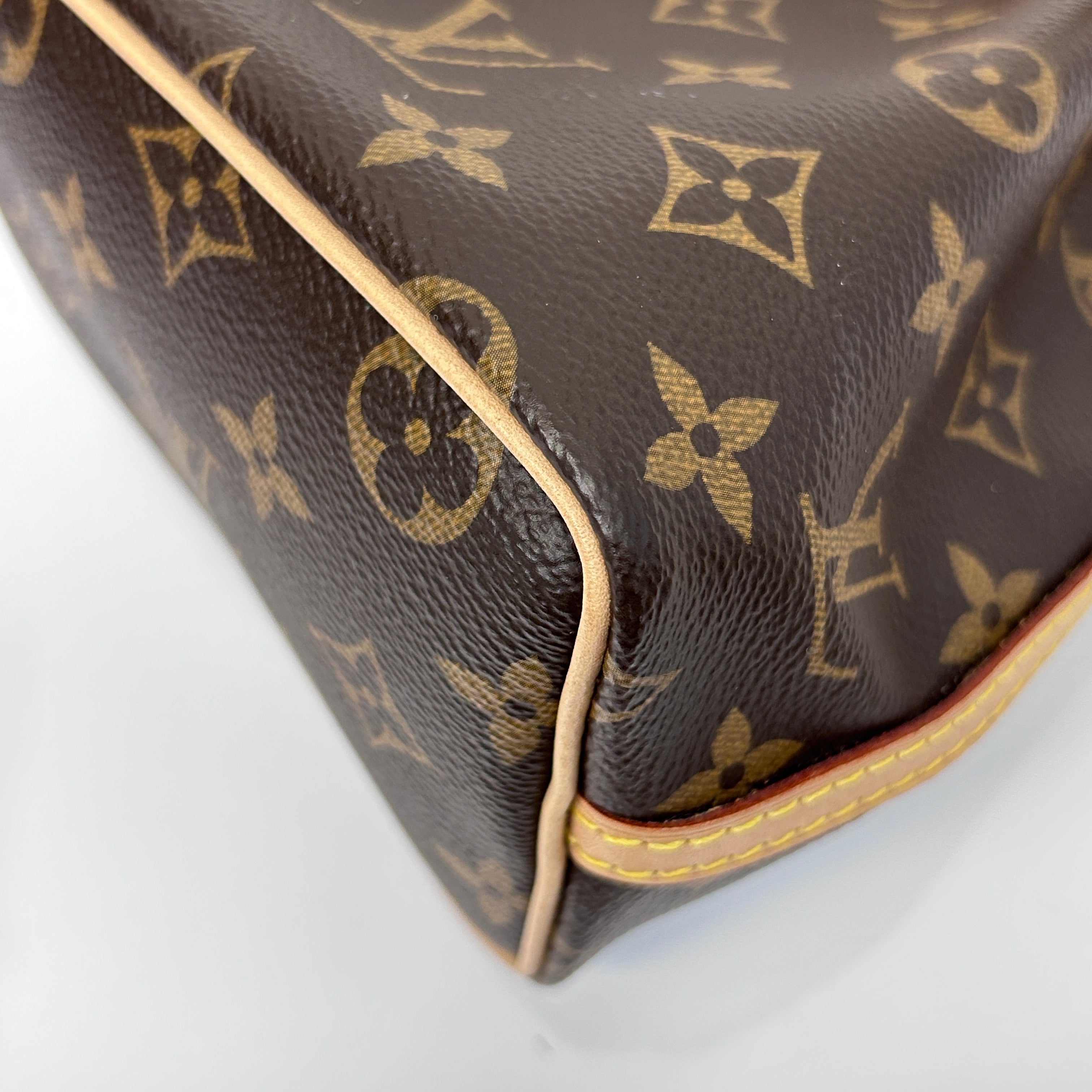 Monogram Canvas Nano Noe Bag