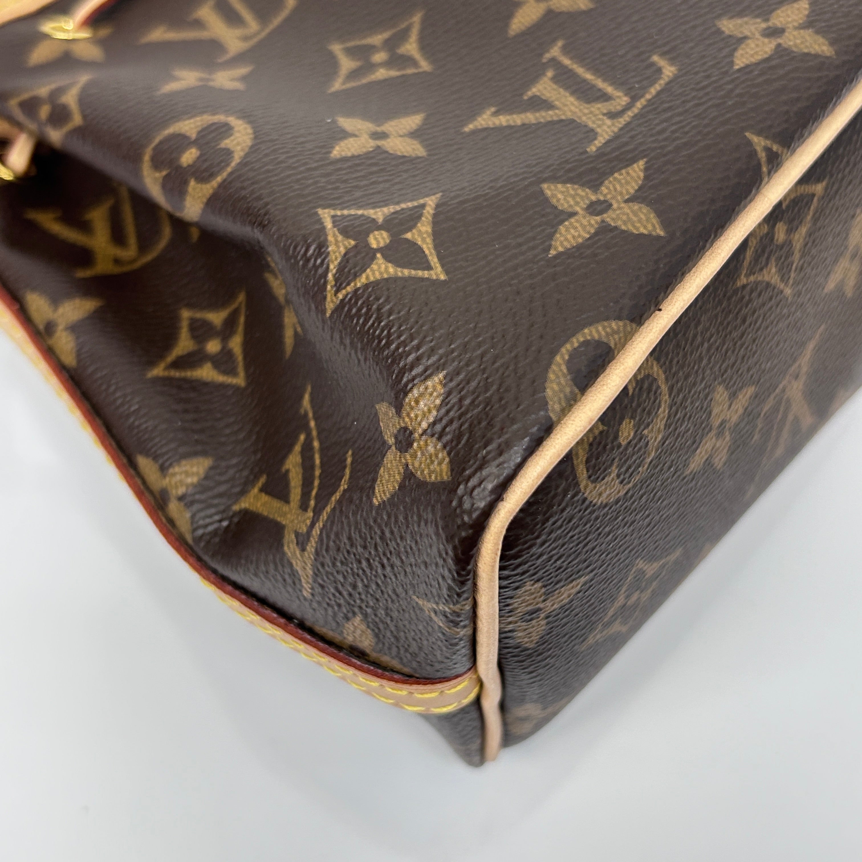 Monogram Canvas Nano Noe Bag