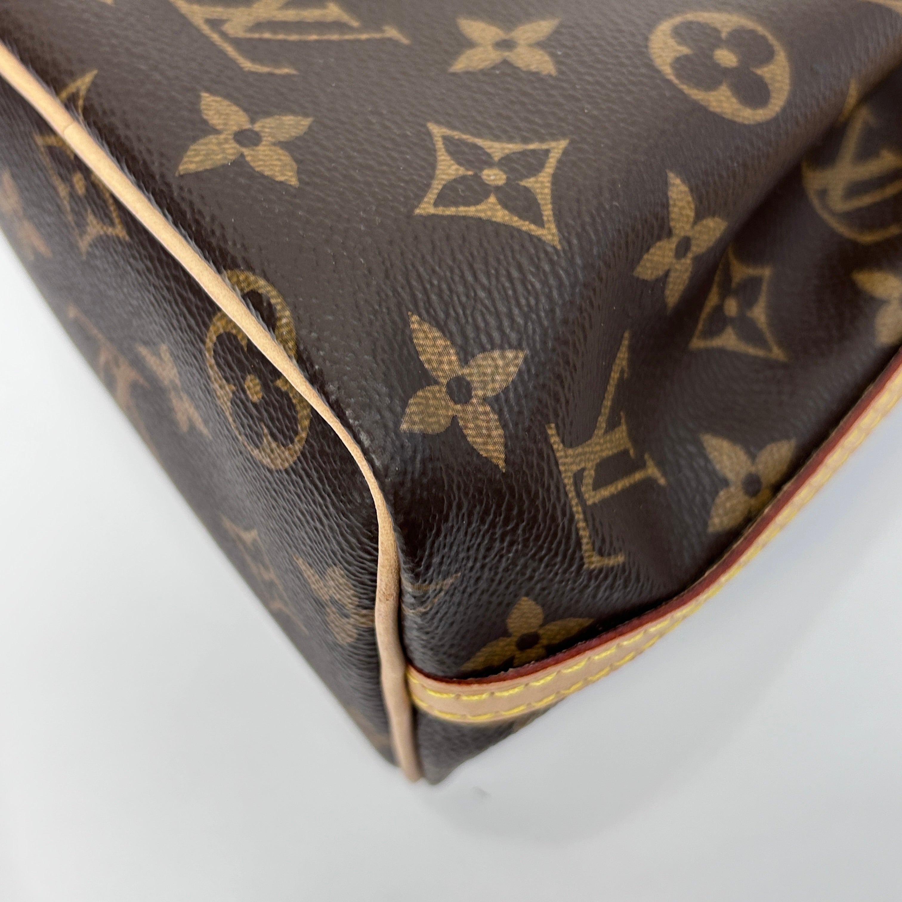 Monogram Canvas Nano Noe Bag