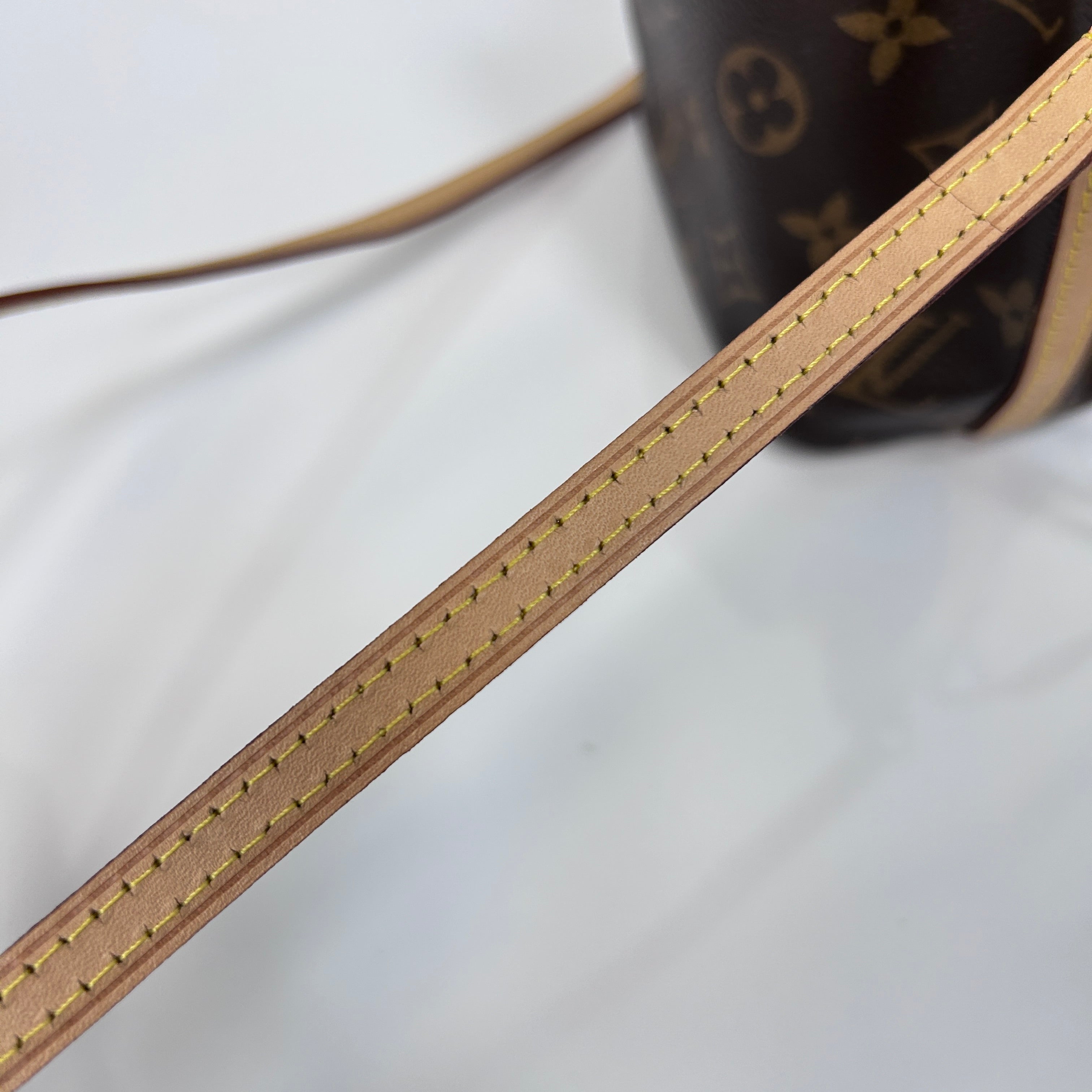 Monogram Canvas Nano Noe Bag