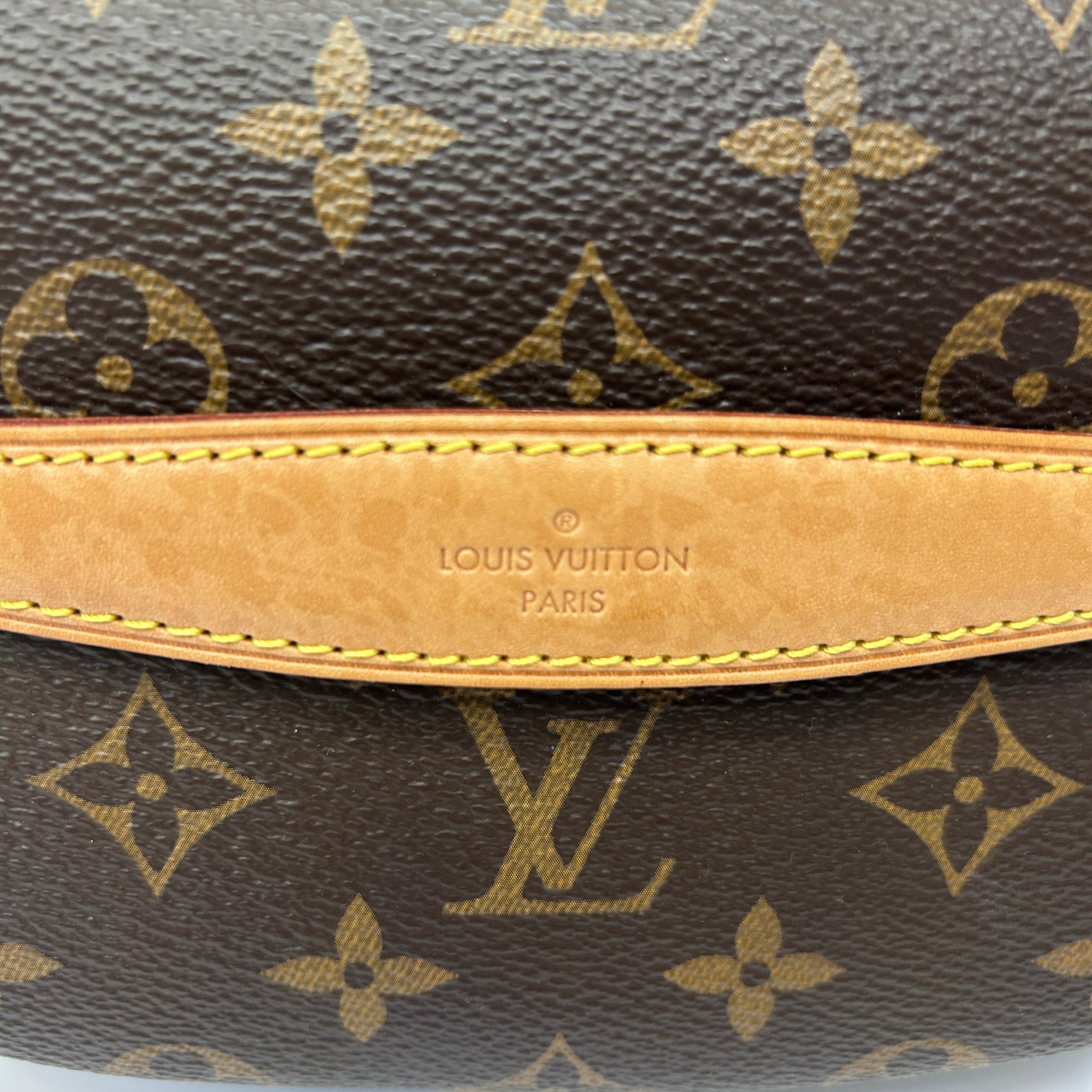 Monogram Canvas Bumbag w/GHW