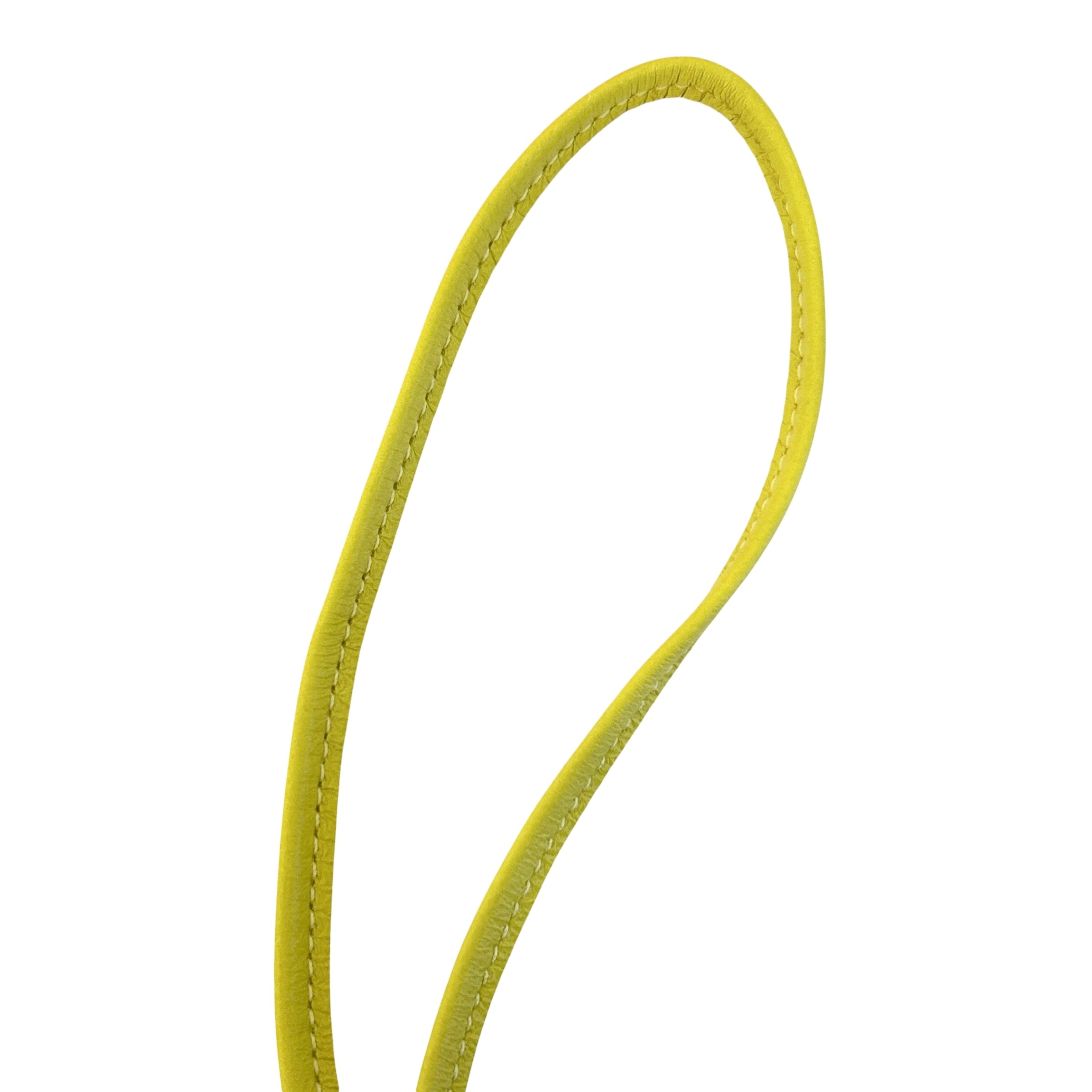 Vert Fizz/Lemon Yellow/White Lambskin Leather Pegase PM Bag Charm - Haute Classics