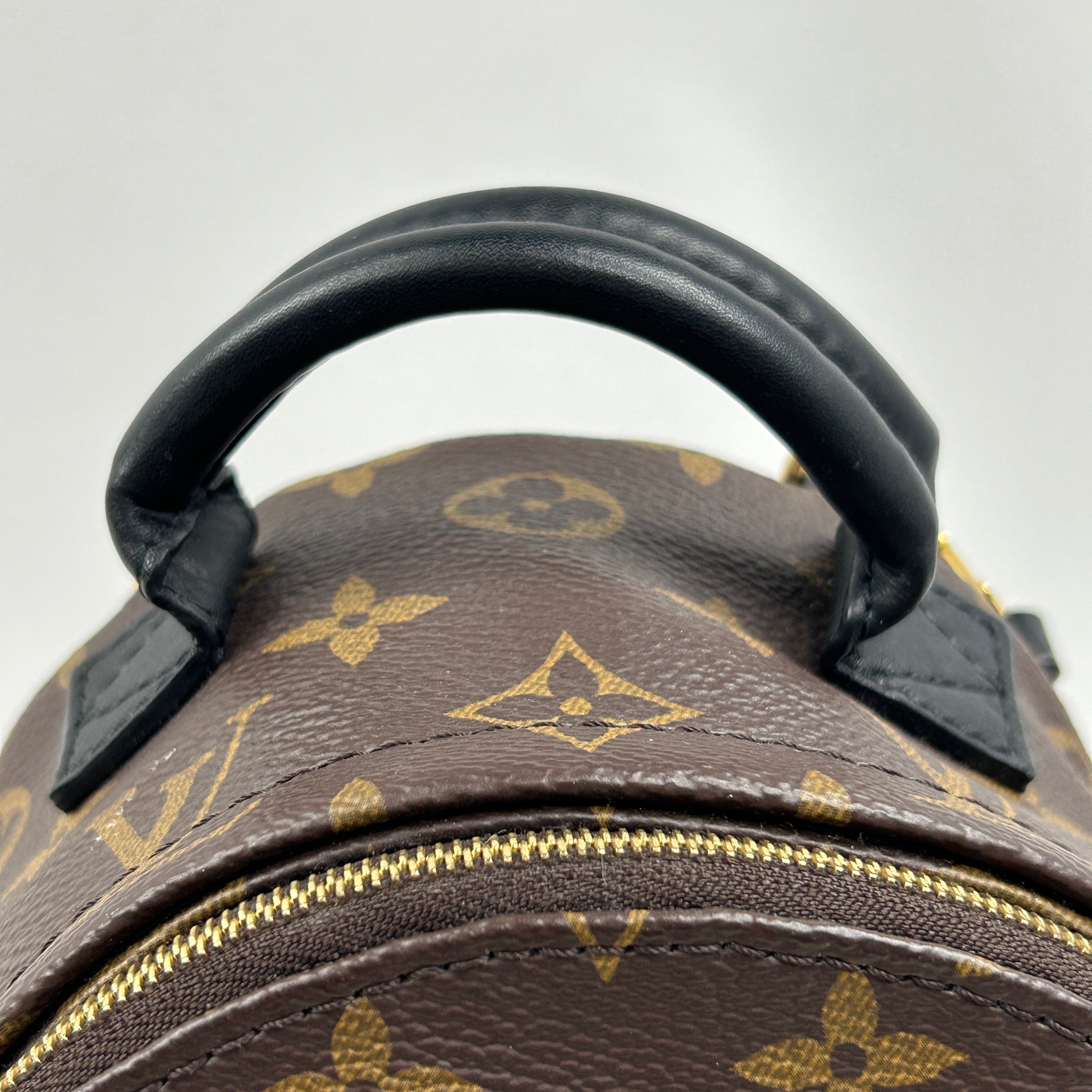 Monogram Coated Canvas Palm Springs Mini Backpack w/GHW