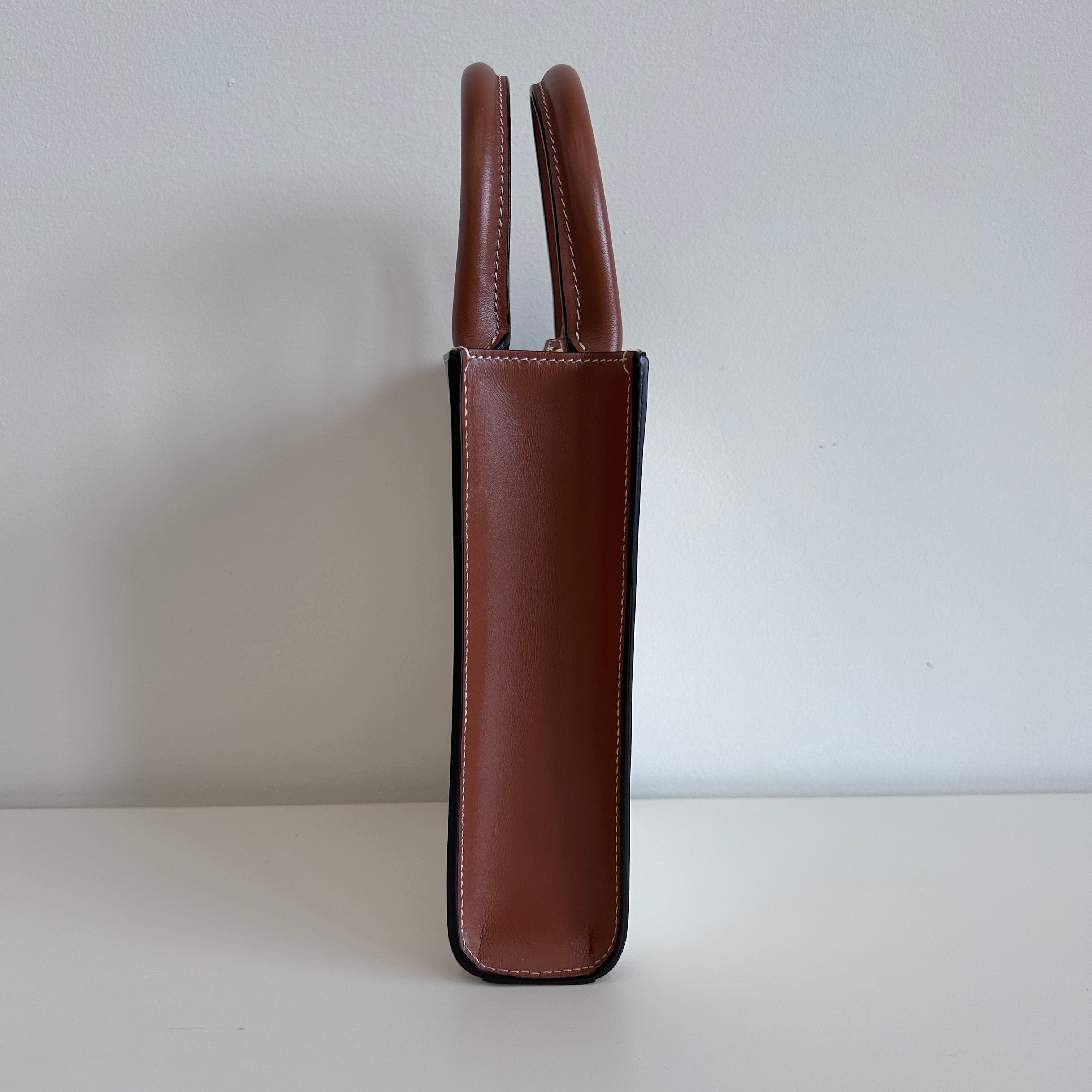 St. Tropez Vertical Canvas/Leather Mini Tote w/GHW
