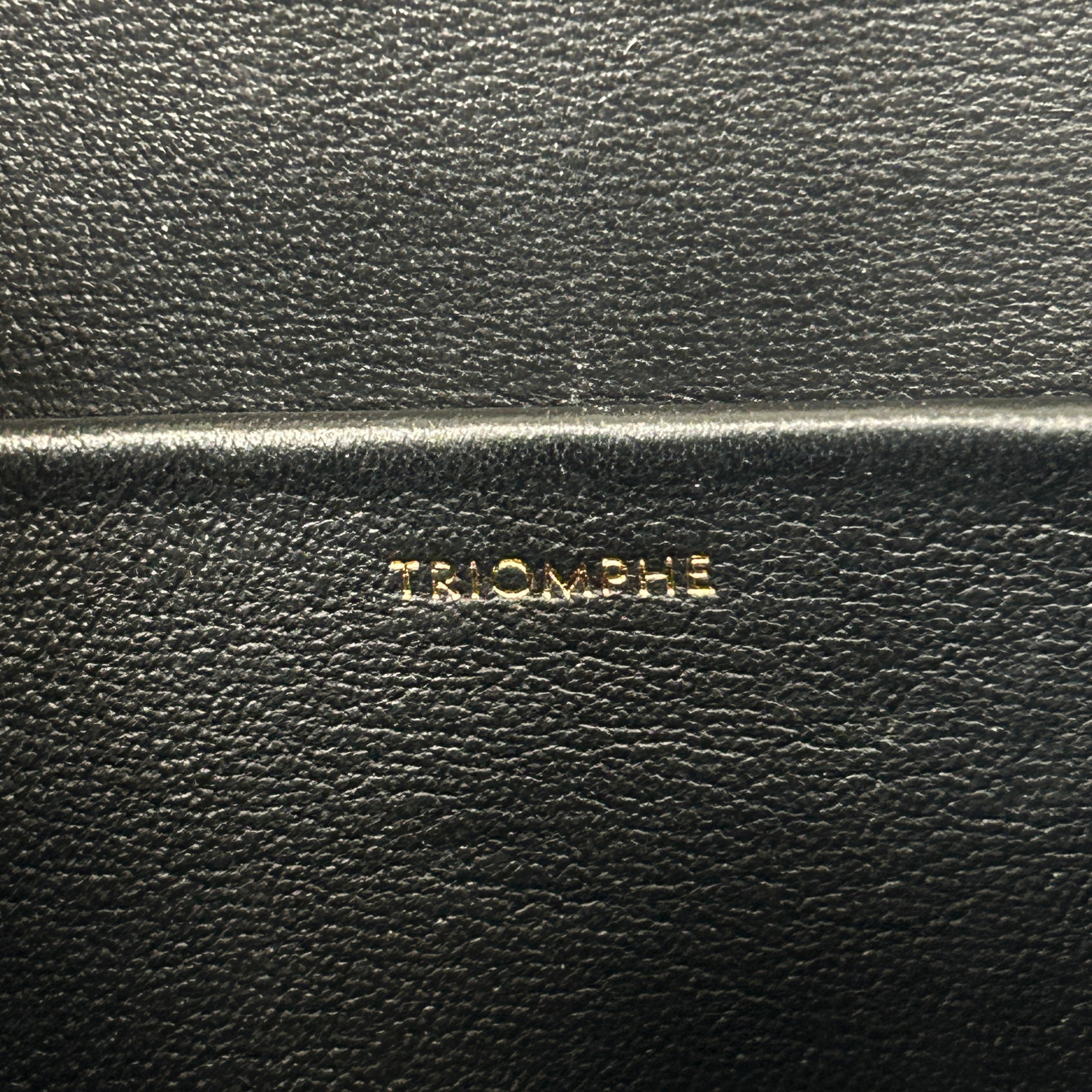 Black Shiny Calfskin Leather Claude Triomphe Shoulder Bag w/GHW