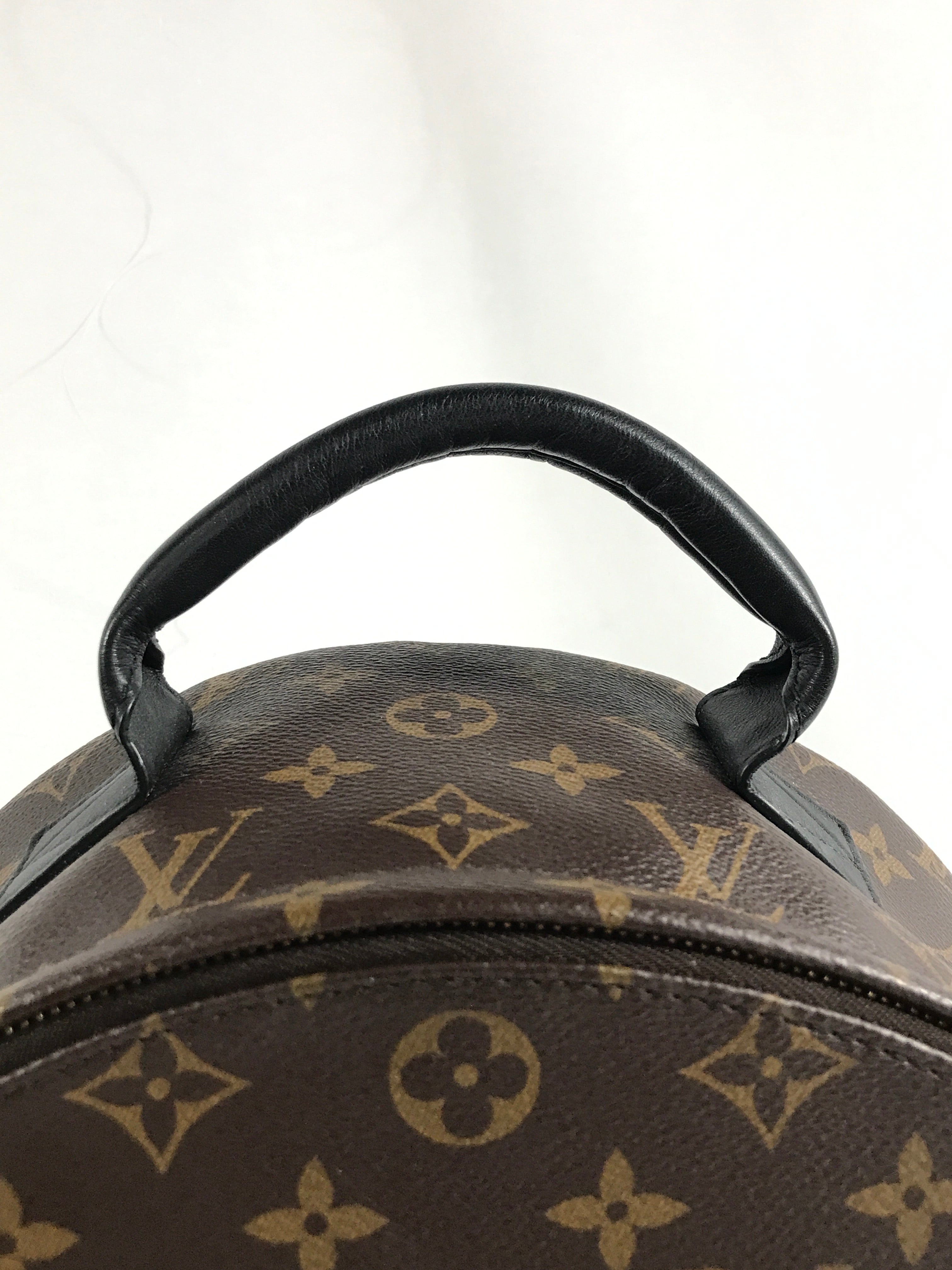 Monogram Coated Canvas Palm Springs MM Backpack w/GHW