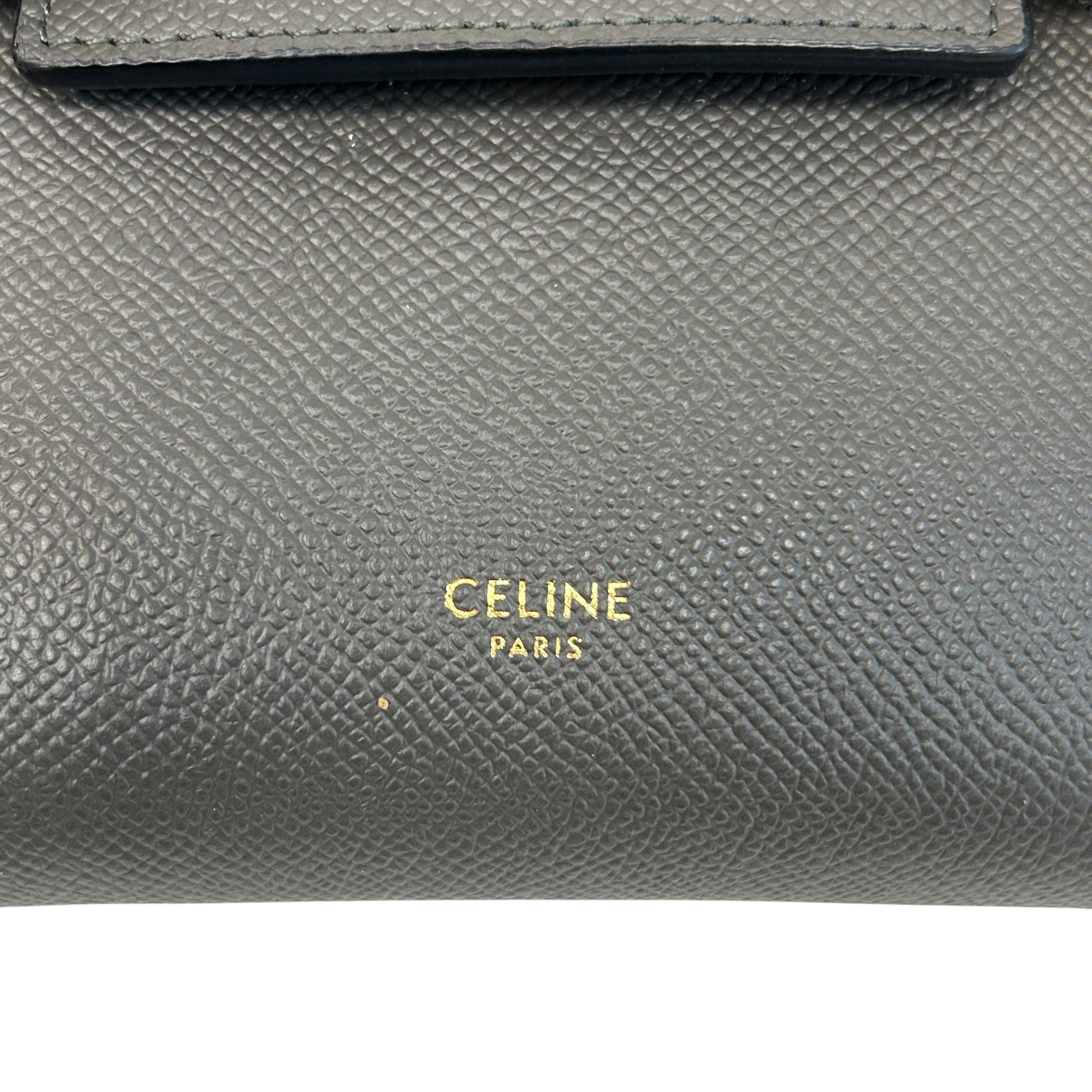 Grey Grained Calfskin Nano Belt Bag