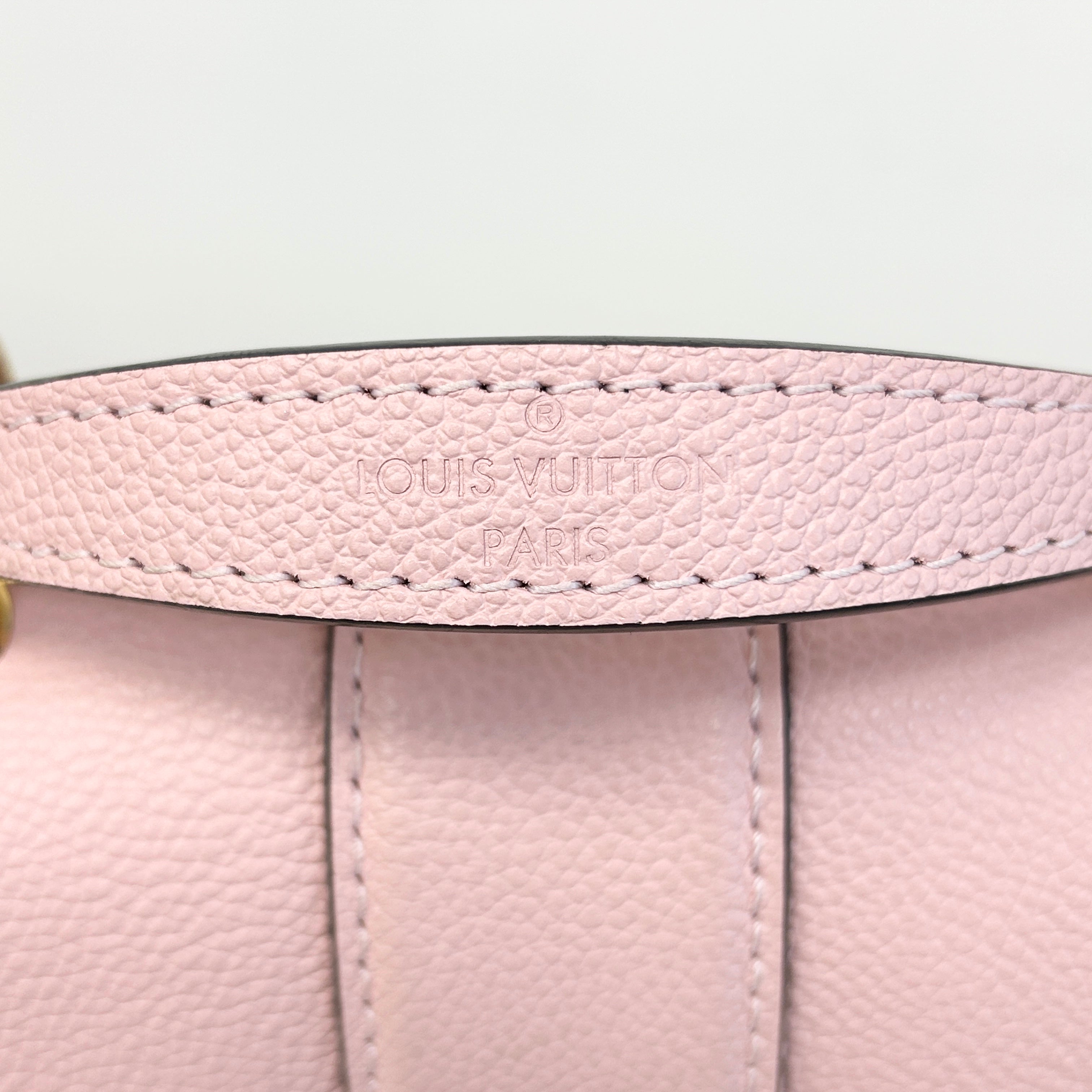 Magnolia Damier Canvas Clapton Backpack Bag