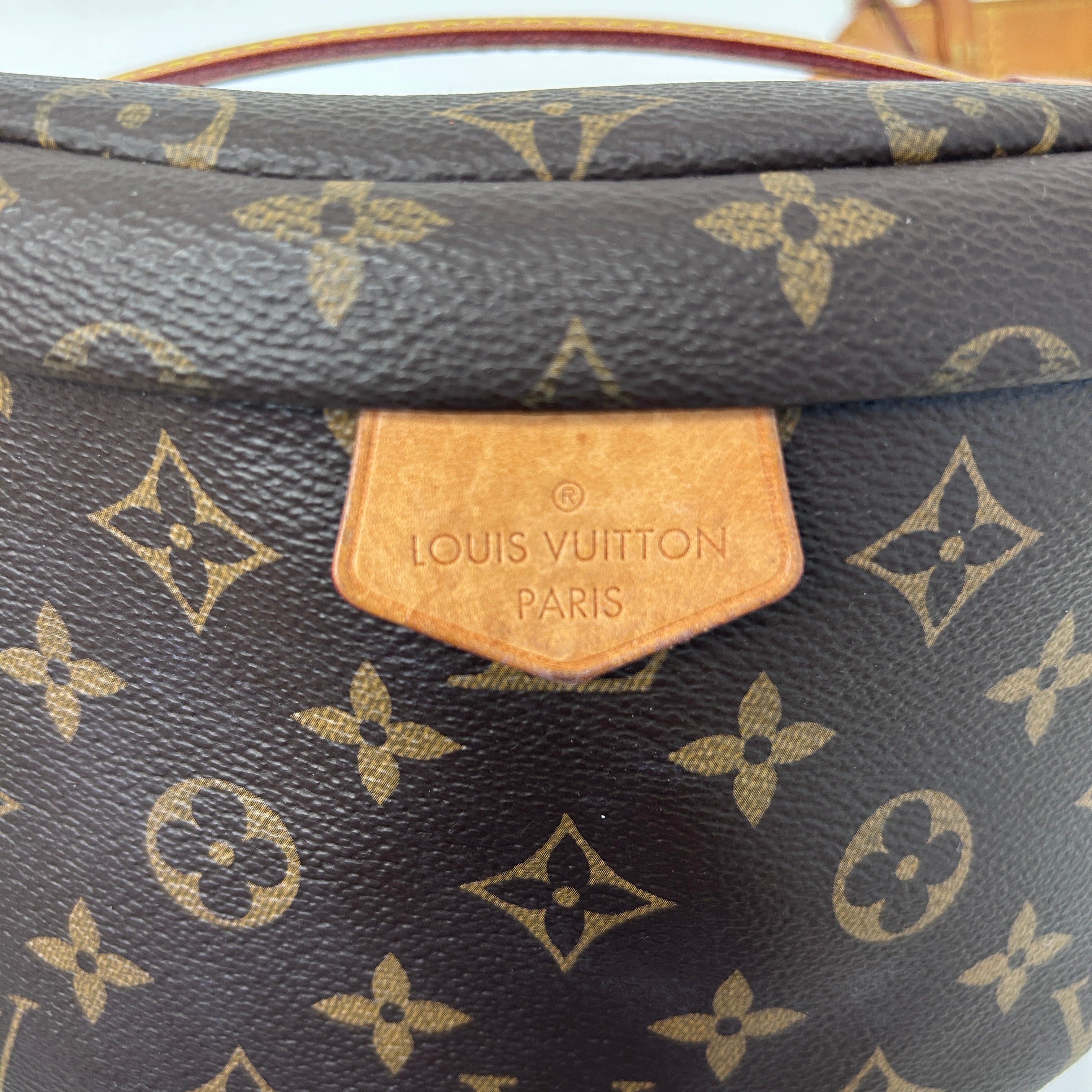 Monogram Coated Canvas Bum Bag w/GHW