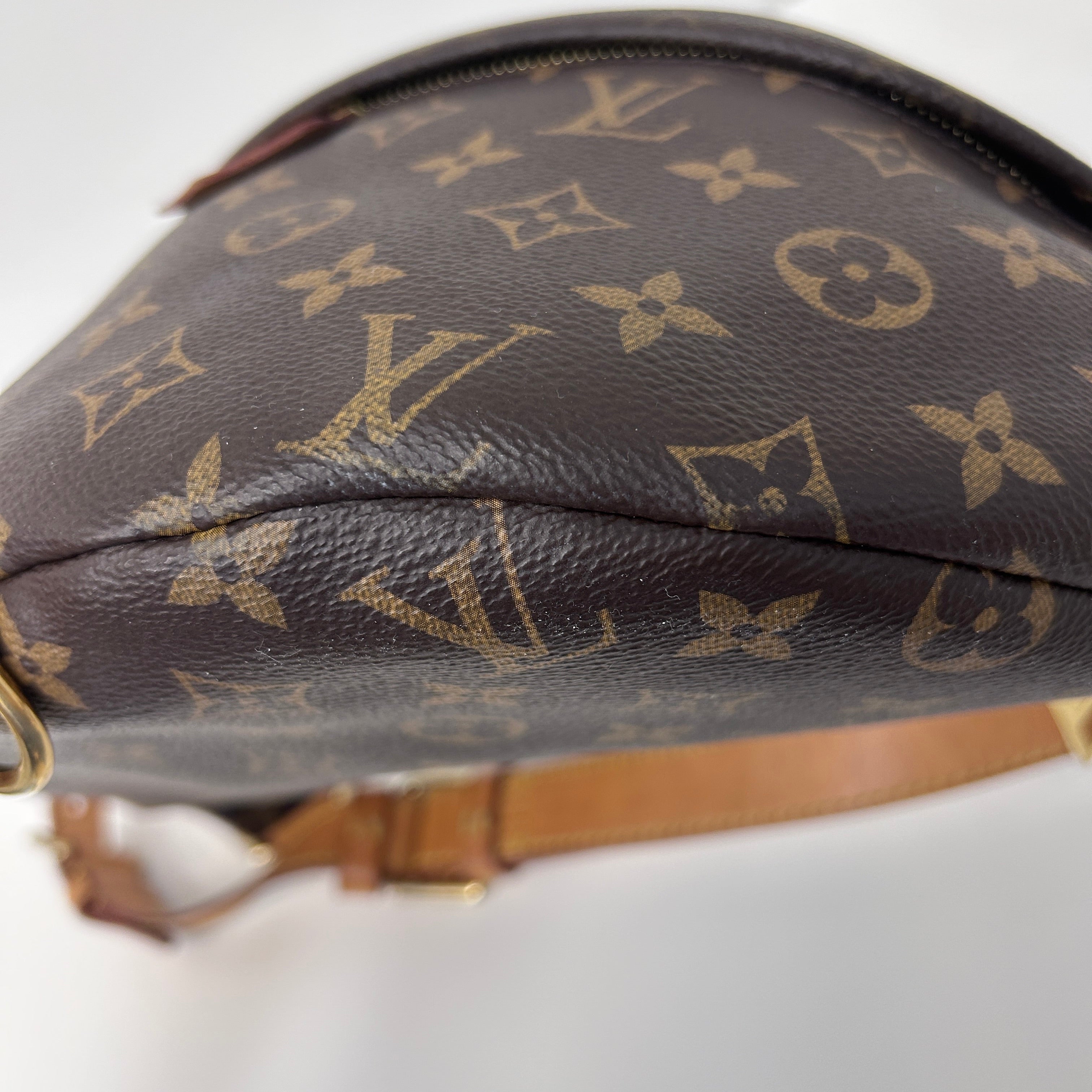 Monogram Coated Canvas Bum Bag w/GHW