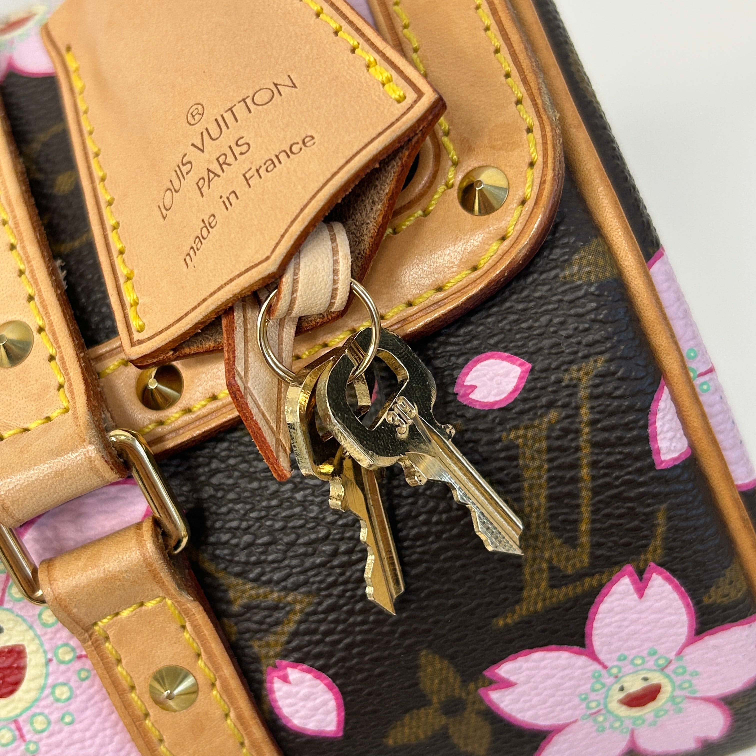 Limited Edition Monogram Cherry Blossom Papillon Bag