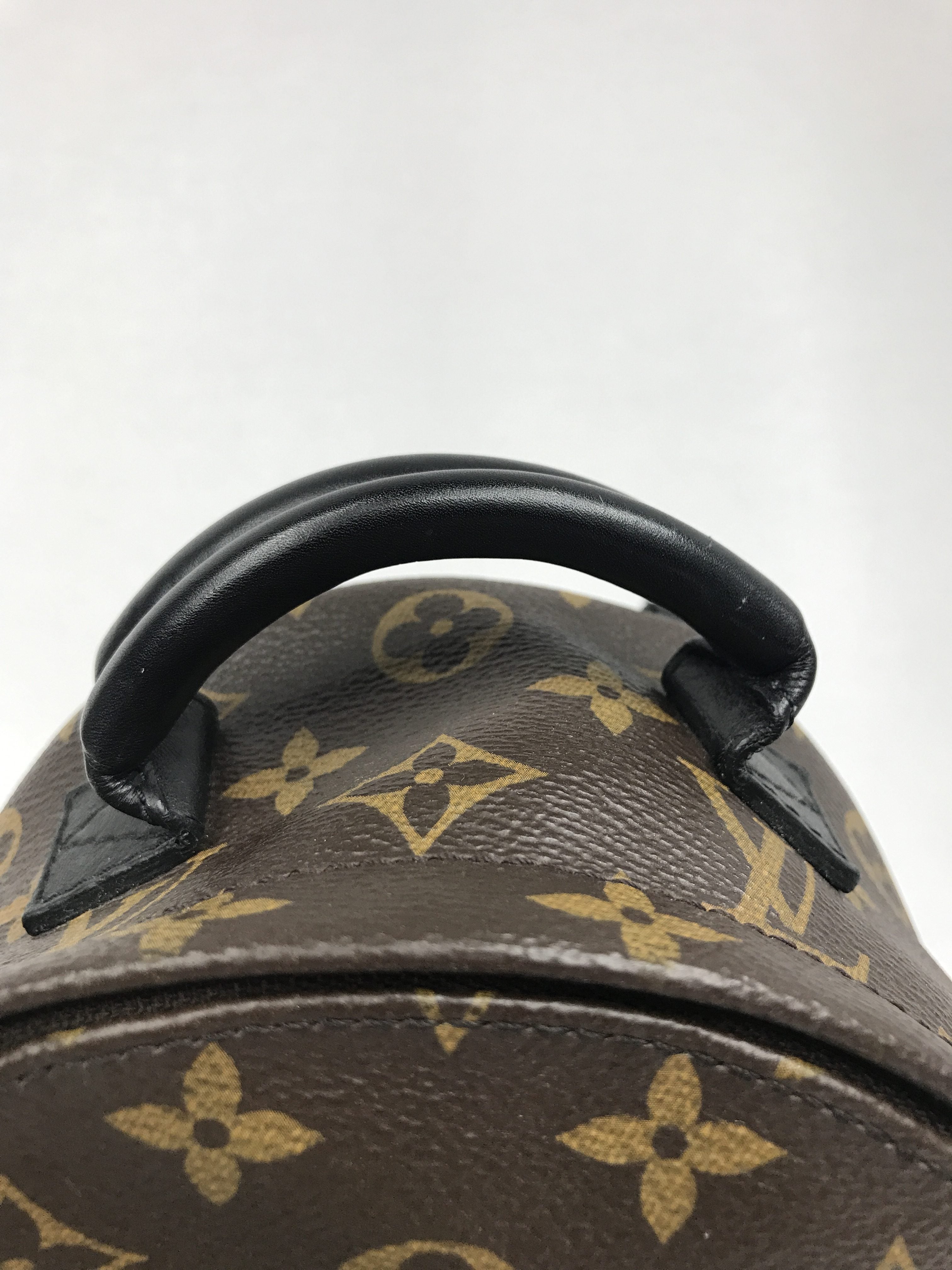 Monogram Coated Canvas Palm Springs Mini Backpack w/ GHW