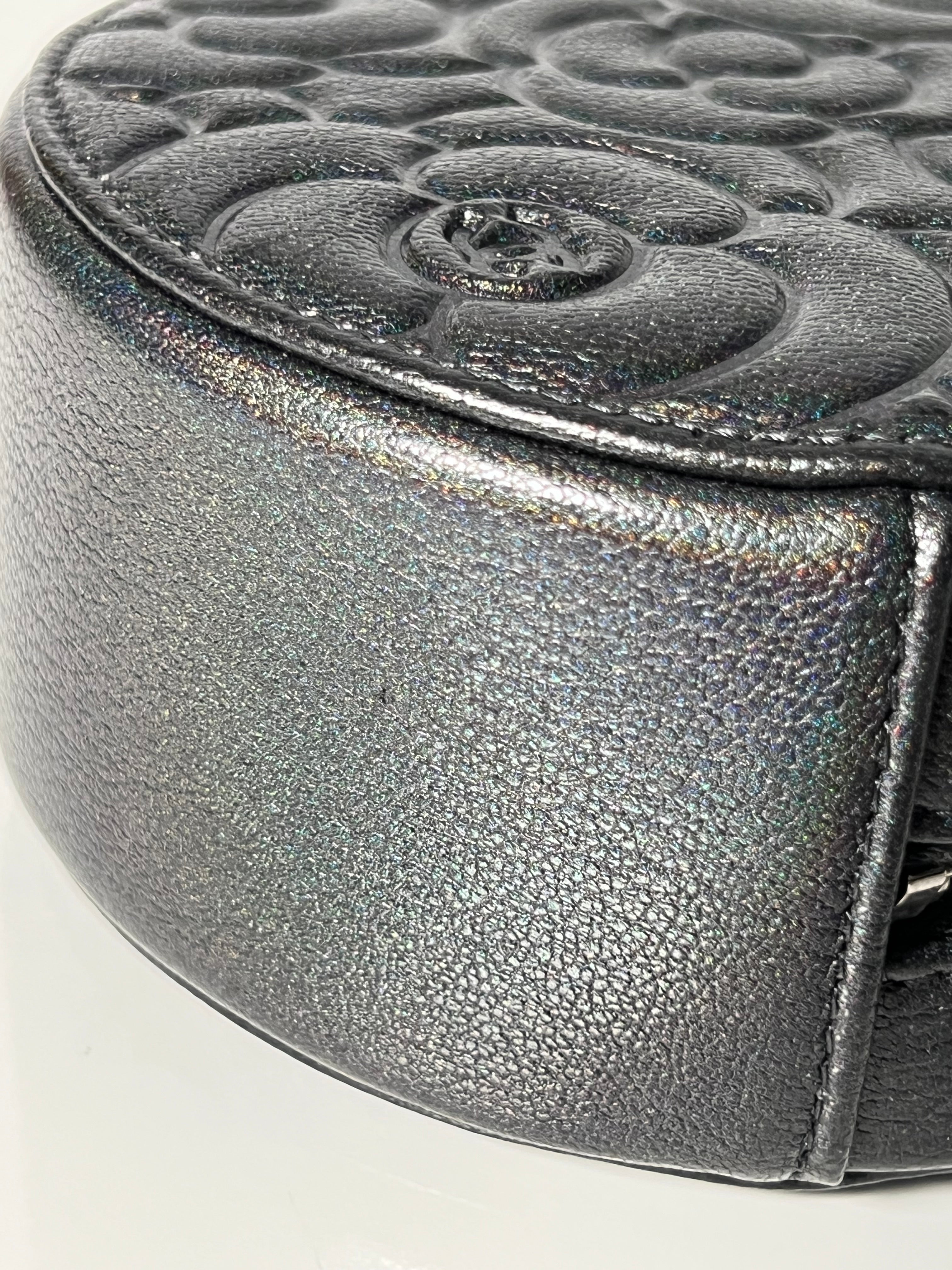 Grey Iridescent Goatskin Camelia Round Vanity Bag w/SHW