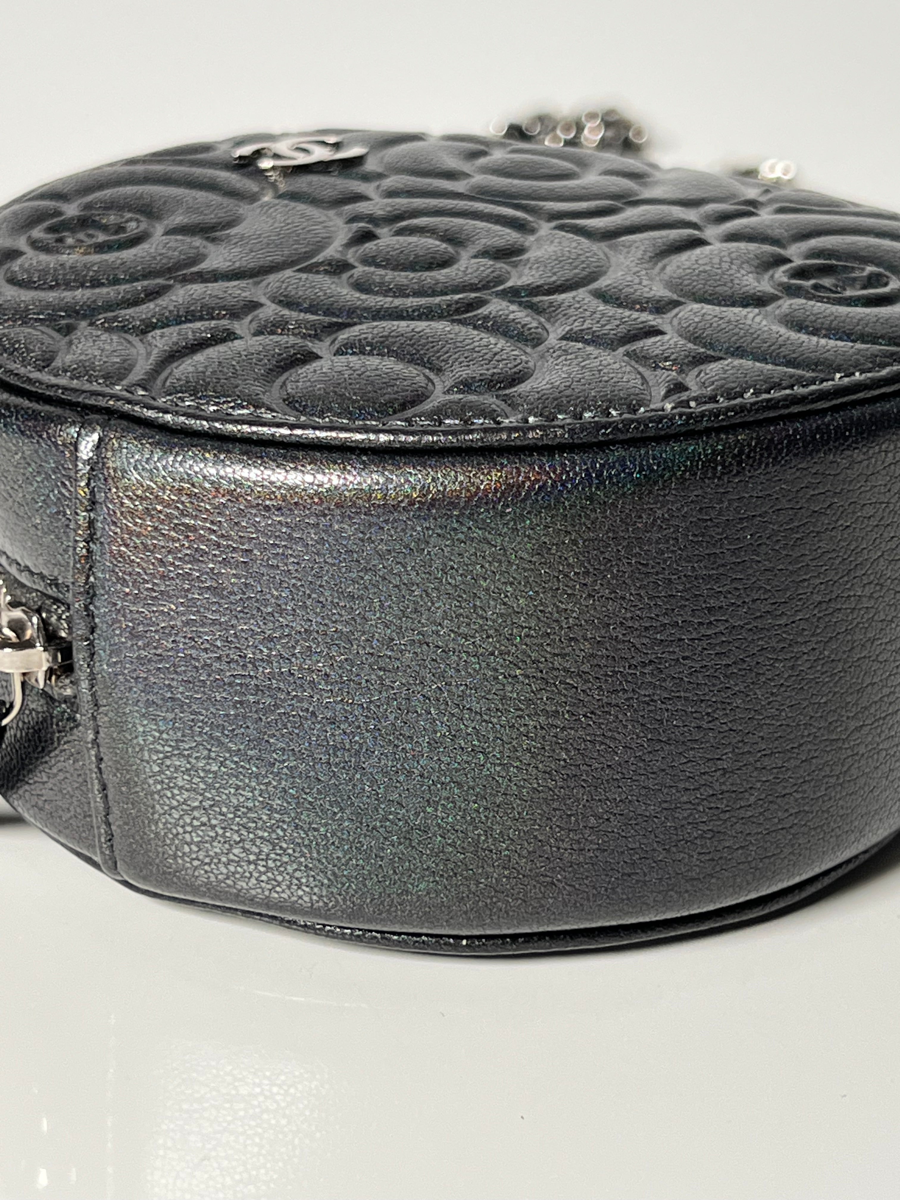 Grey Iridescent Goatskin Camelia Round Vanity Bag w/SHW