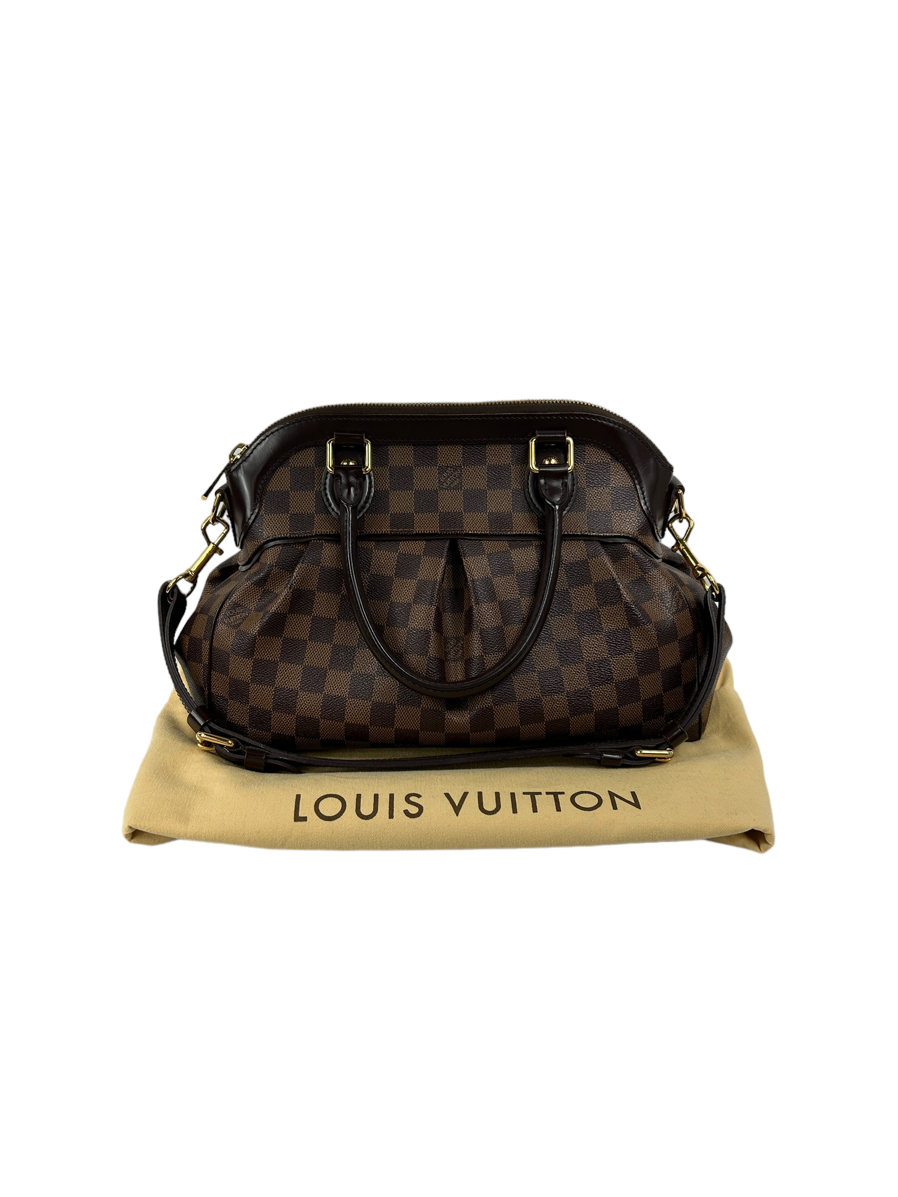 Louis vuitton damier discount canvas trevi pm bag