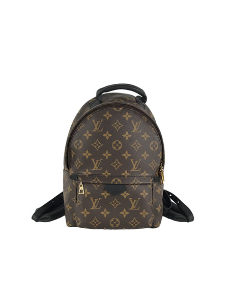 LOUIS VUITTON Palm Springs Backpack PM