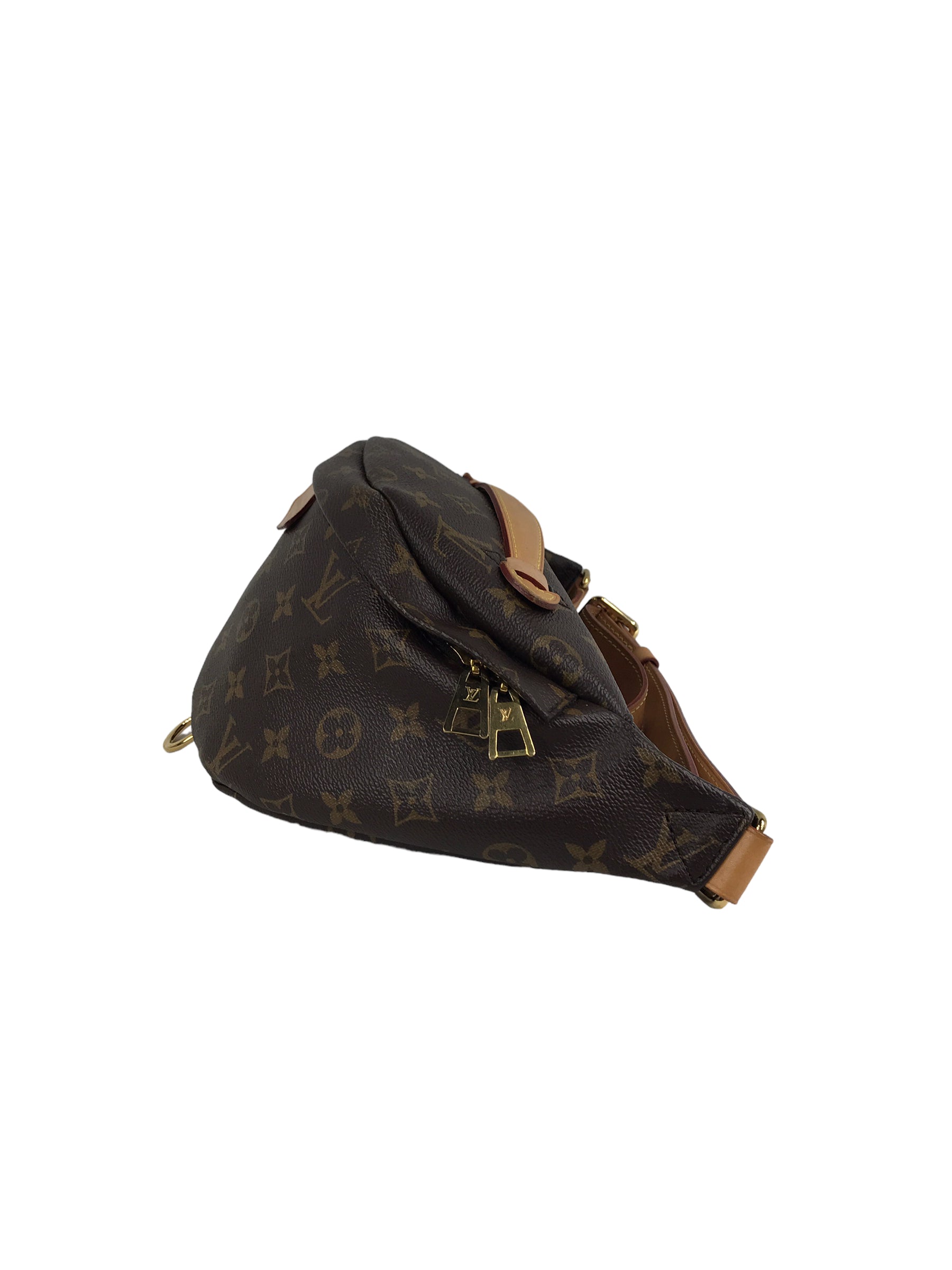 Coated Canvas Monogram Bumbag W/GHW